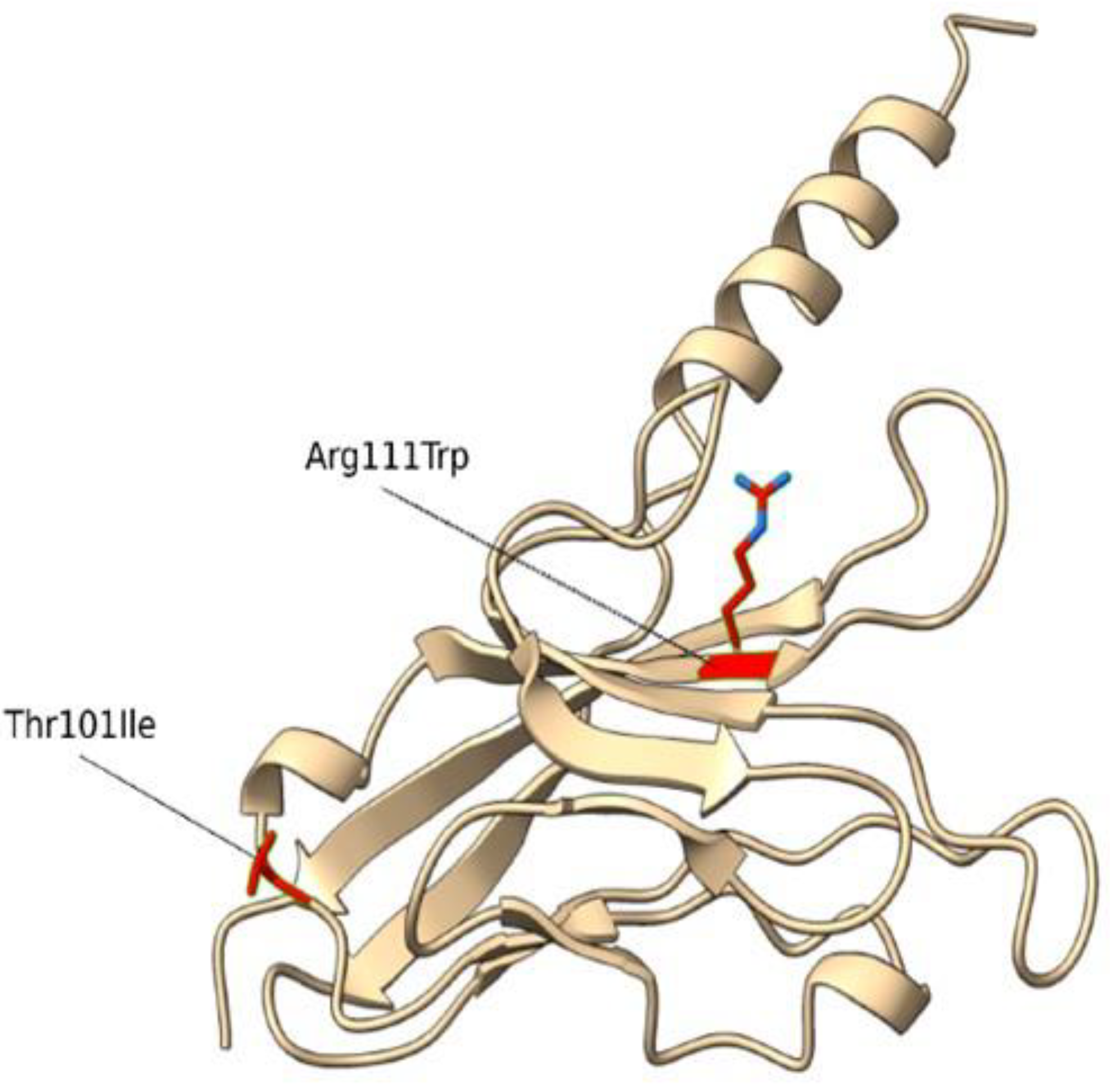 Preprints 116682 g001