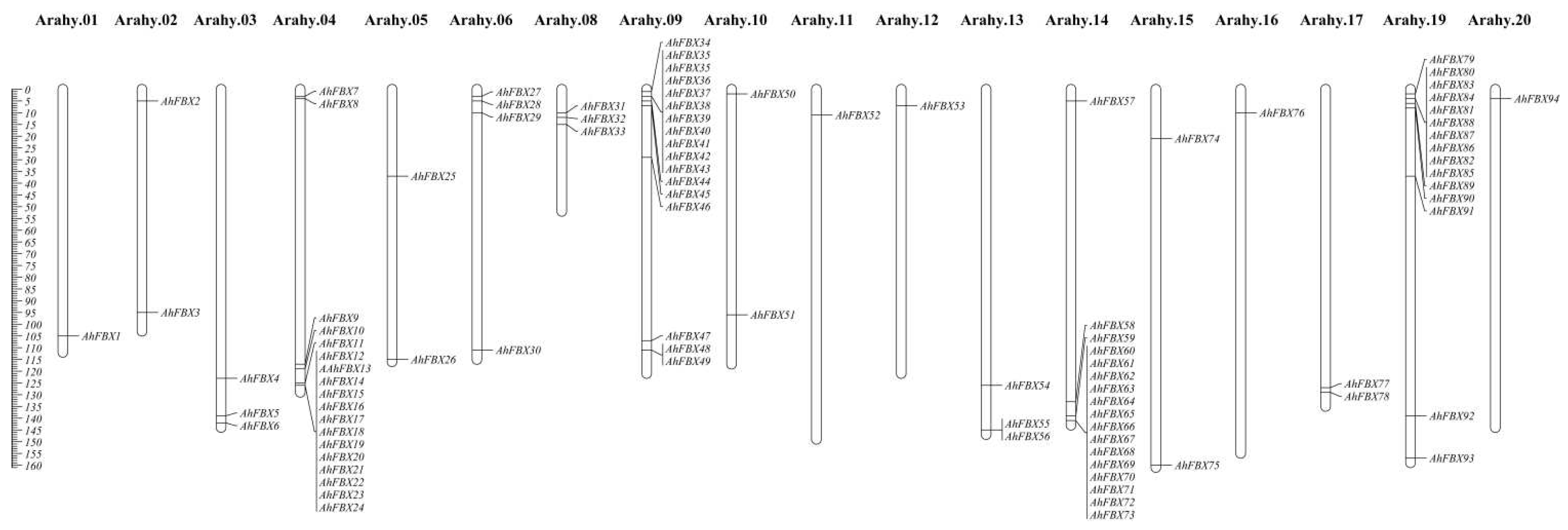 Preprints 97004 g001