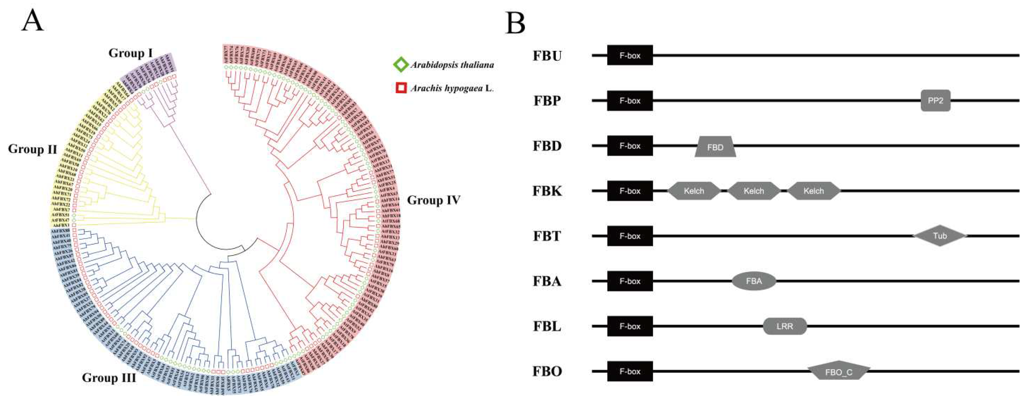 Preprints 97004 g002