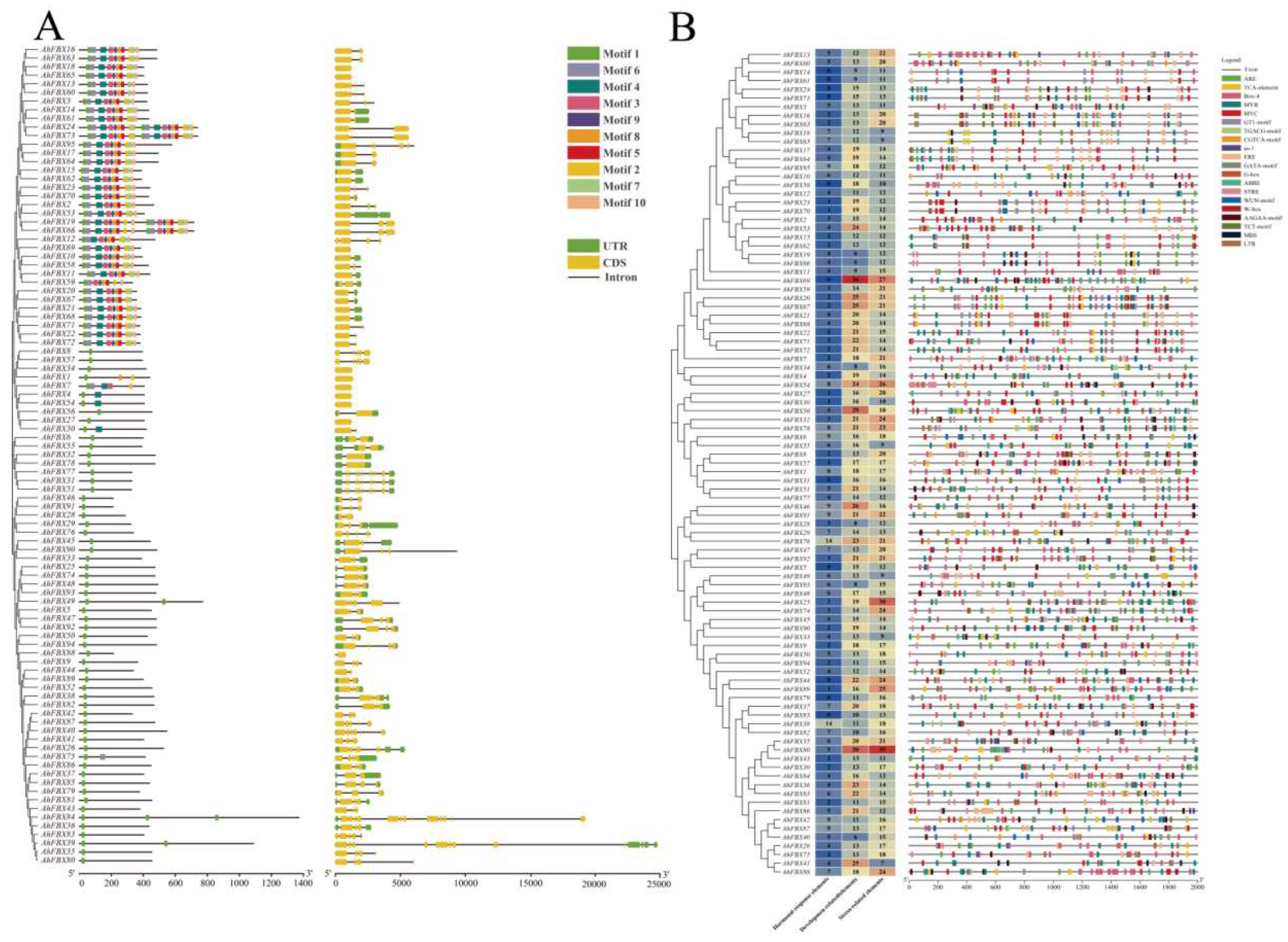 Preprints 97004 g003