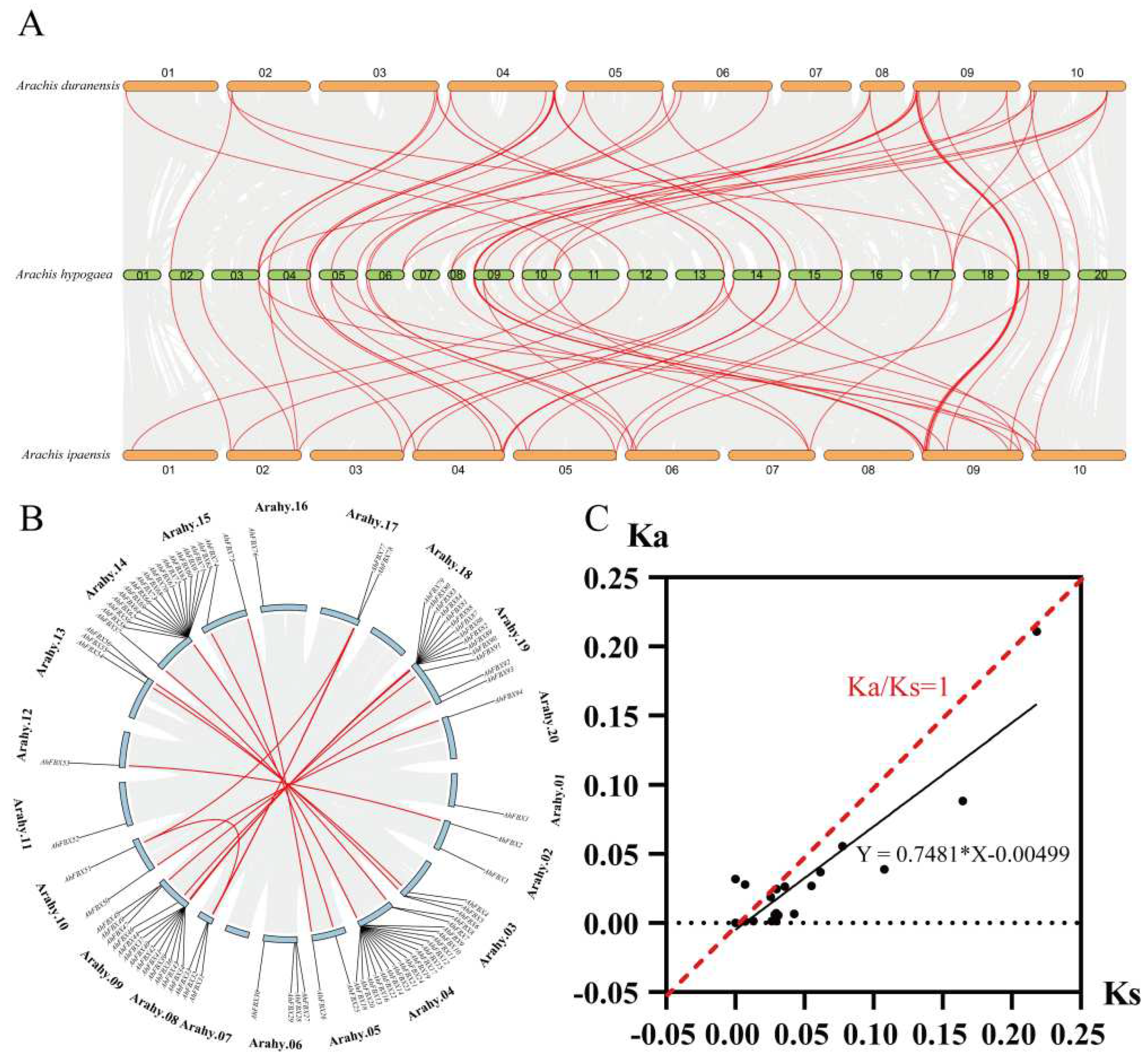 Preprints 97004 g004