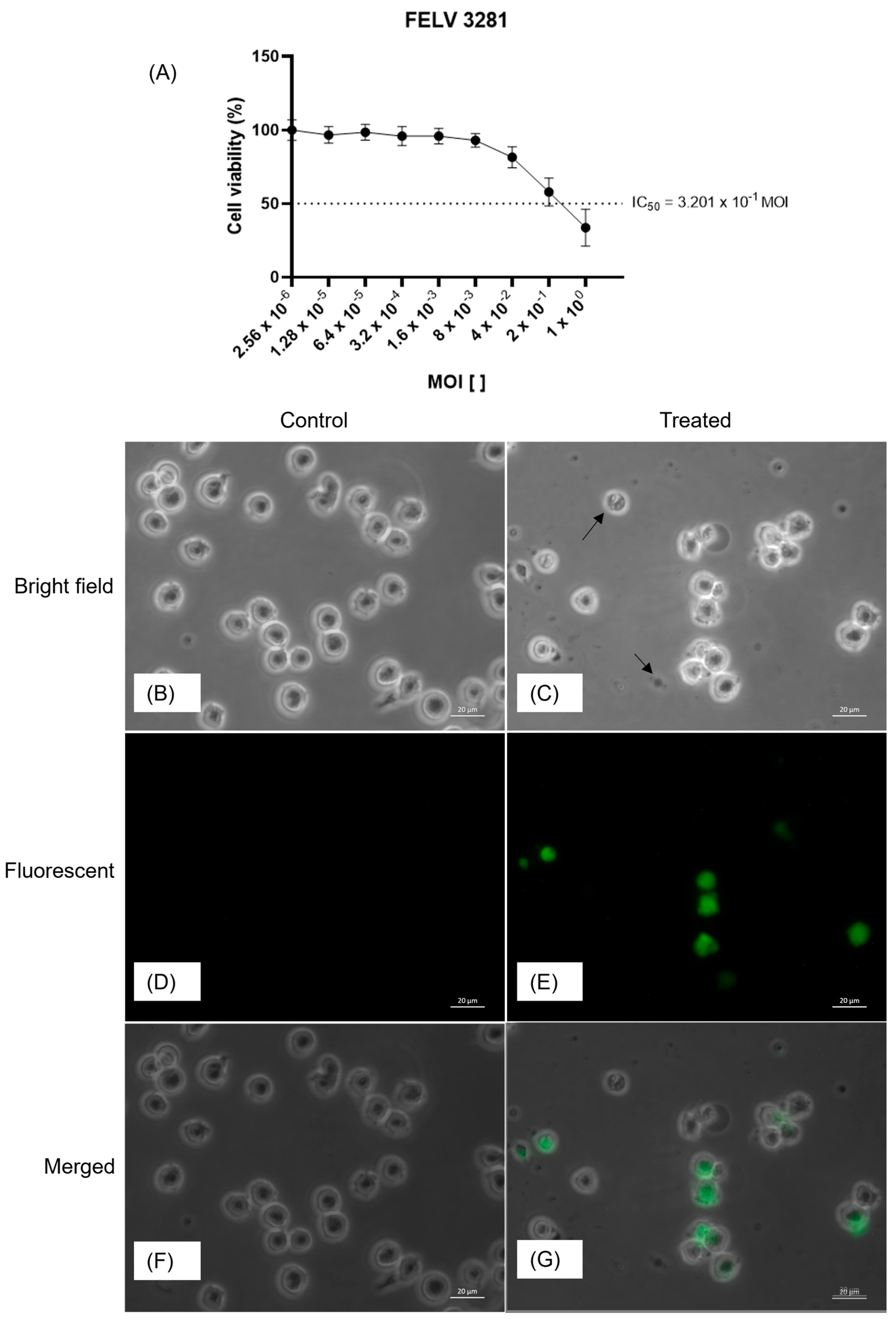 Preprints 96151 g002