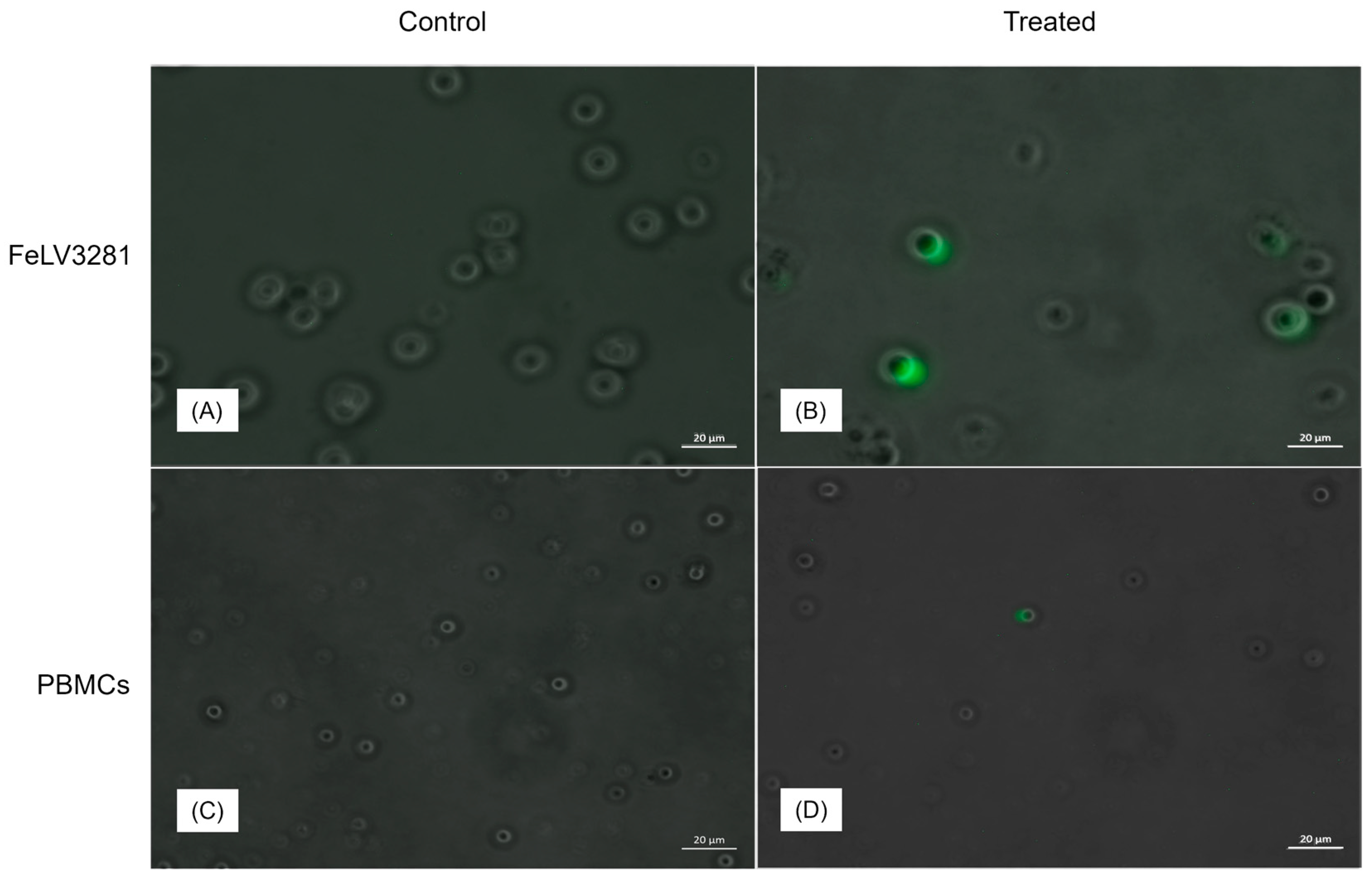 Preprints 96151 g004