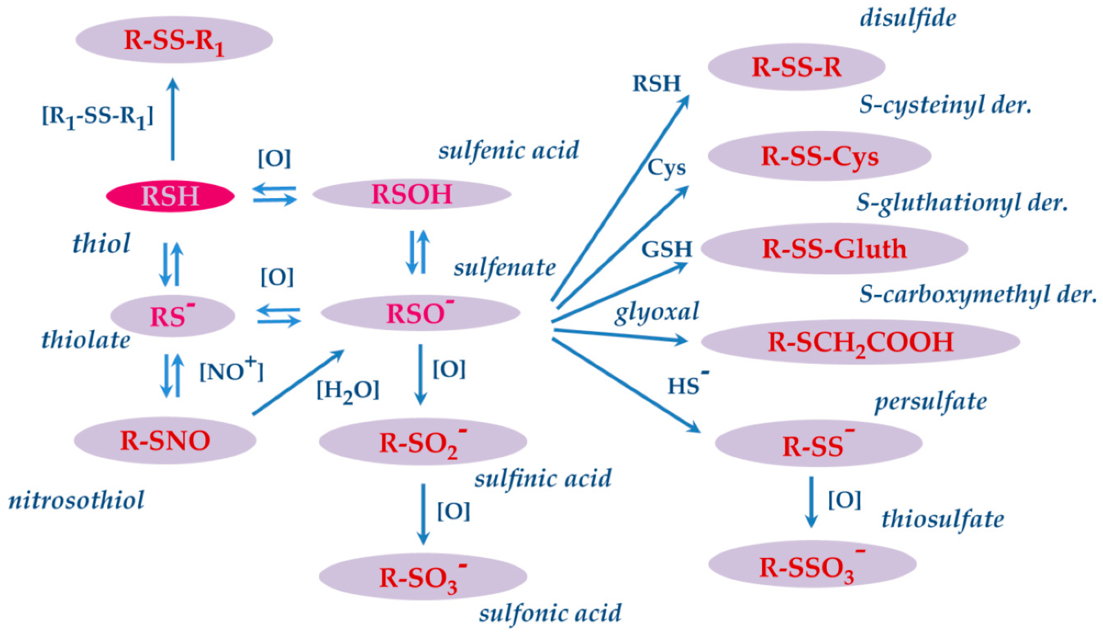 Preprints 81683 g005