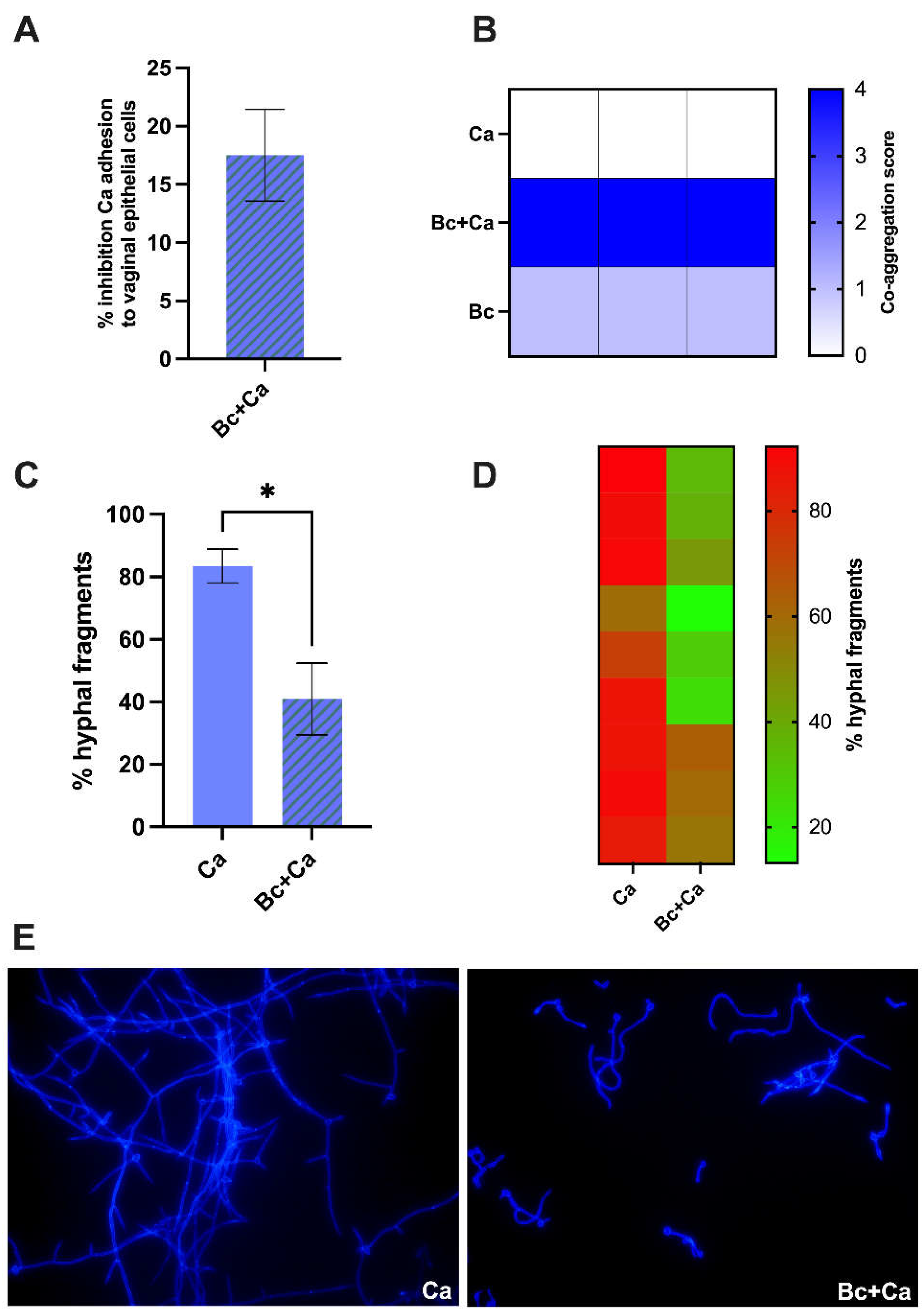 Preprints 114080 g003