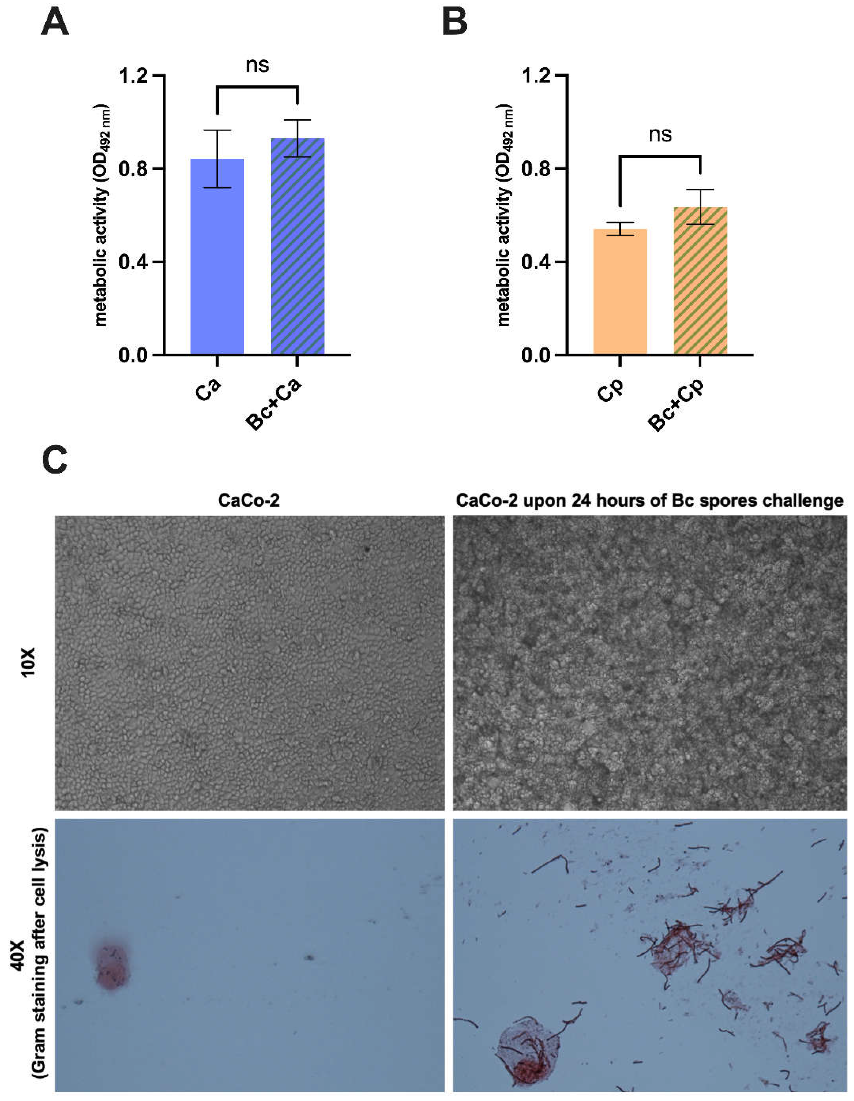 Preprints 114080 g005