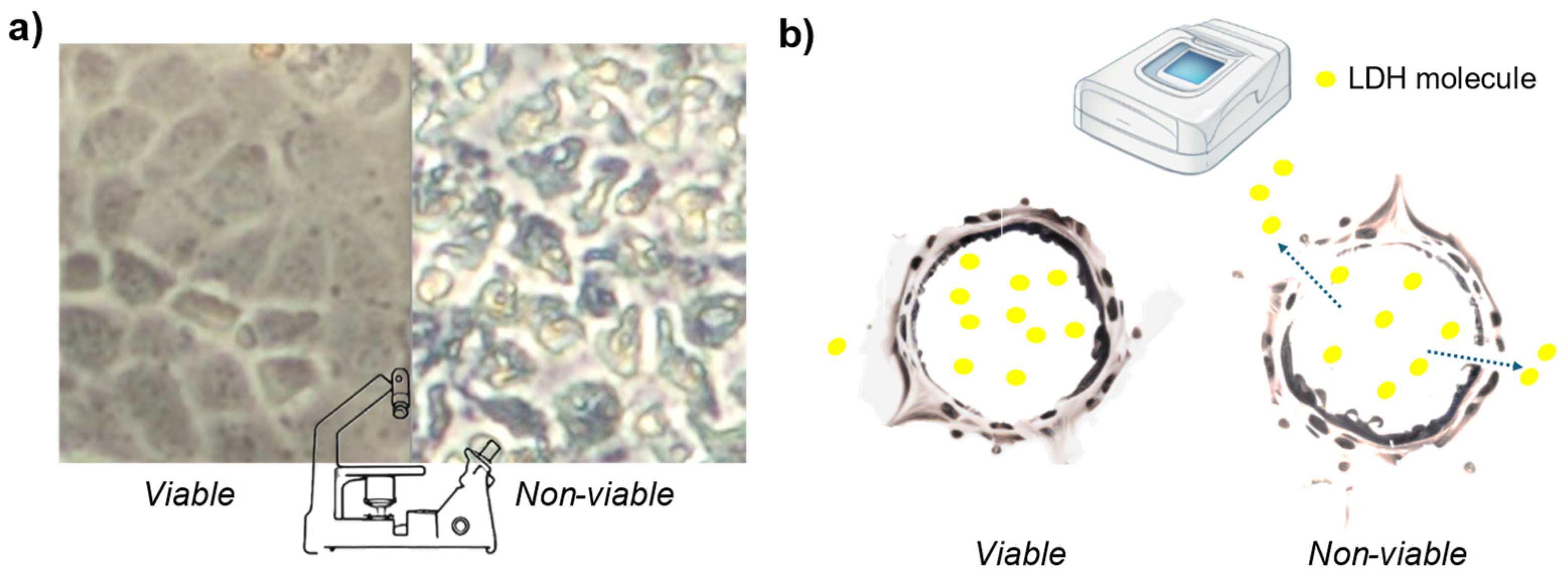 Preprints 117713 g001