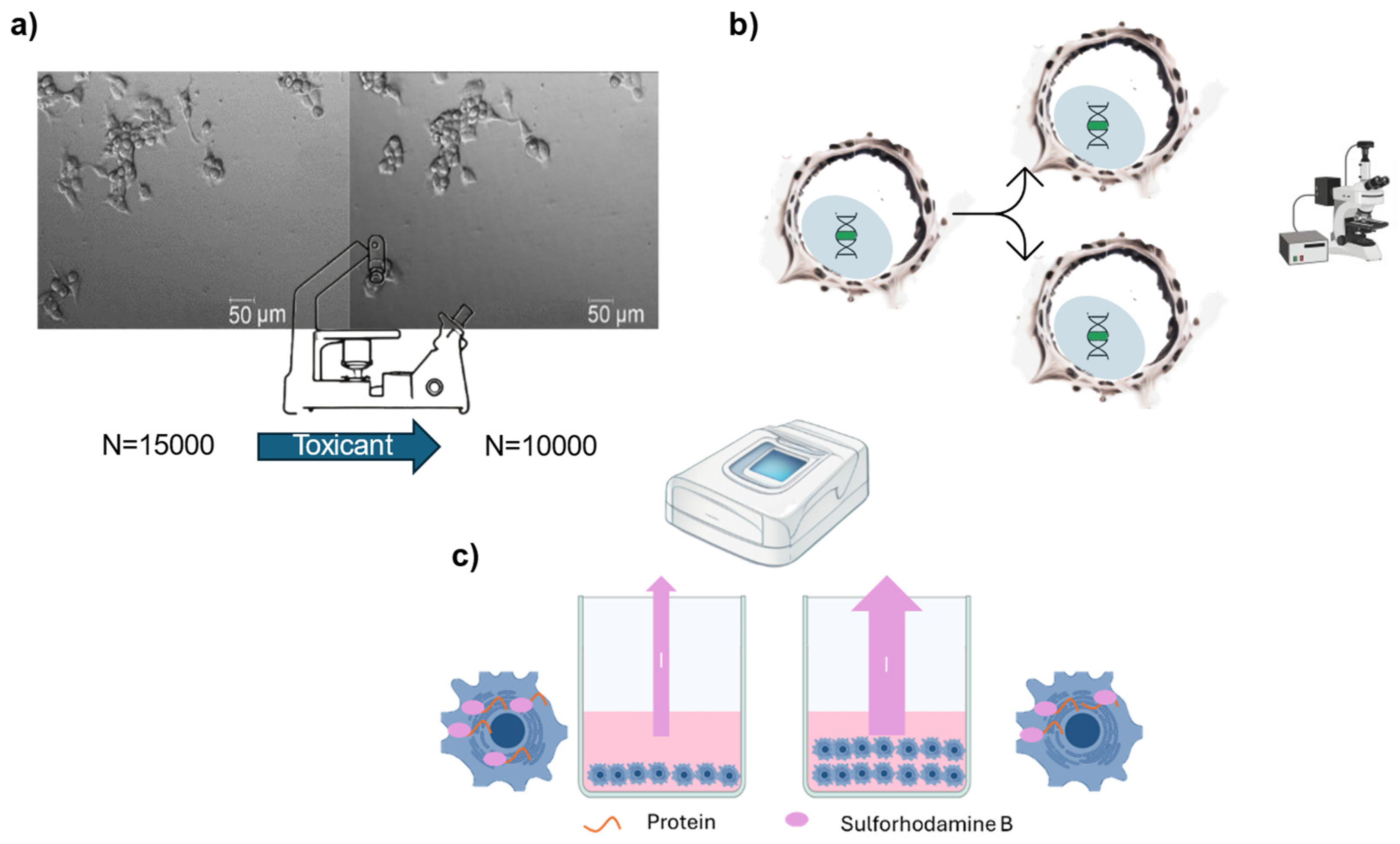 Preprints 117713 g003