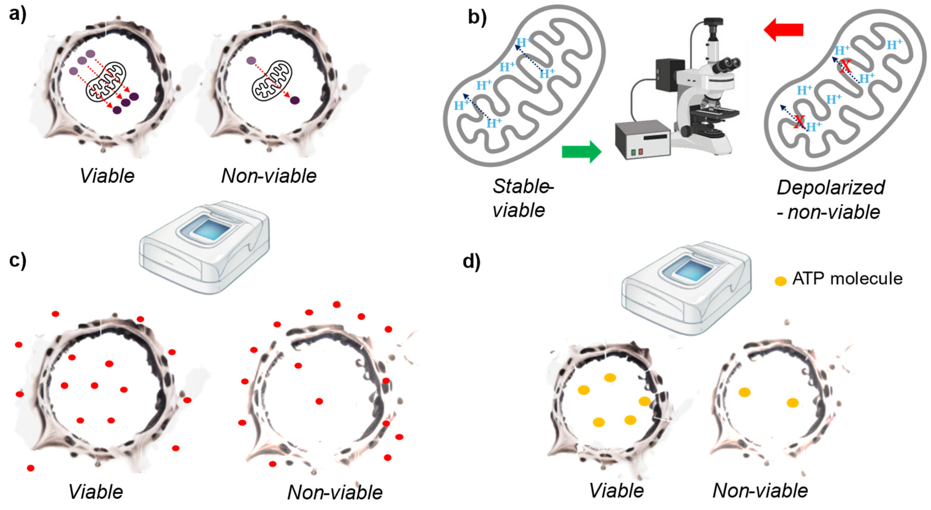 Preprints 117713 g004