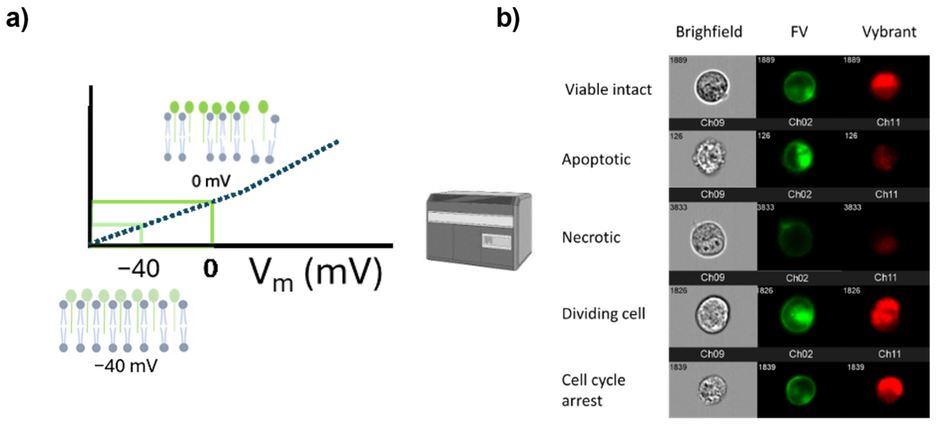 Preprints 117713 g005