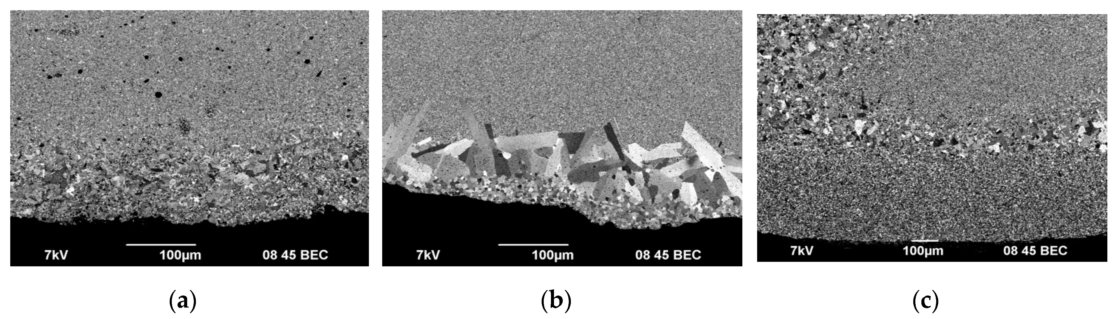 Preprints 73669 g016