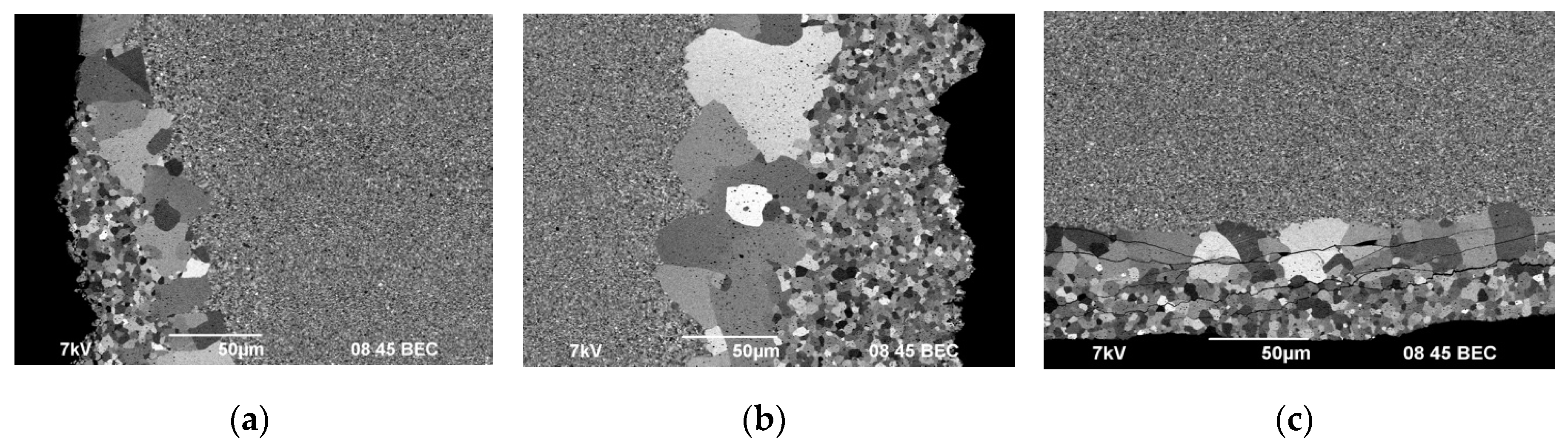 Preprints 73669 g017