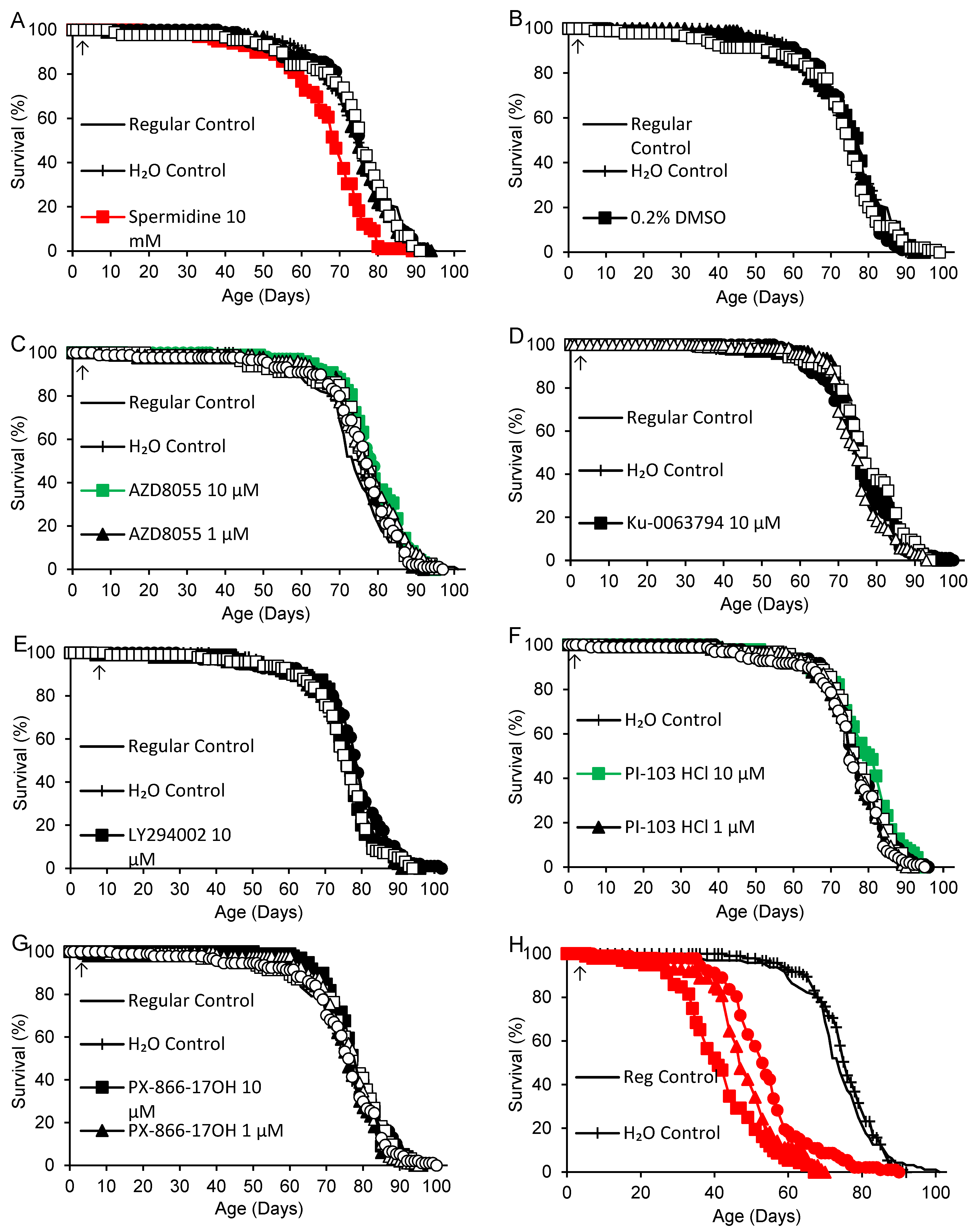 Preprints 116160 g002a