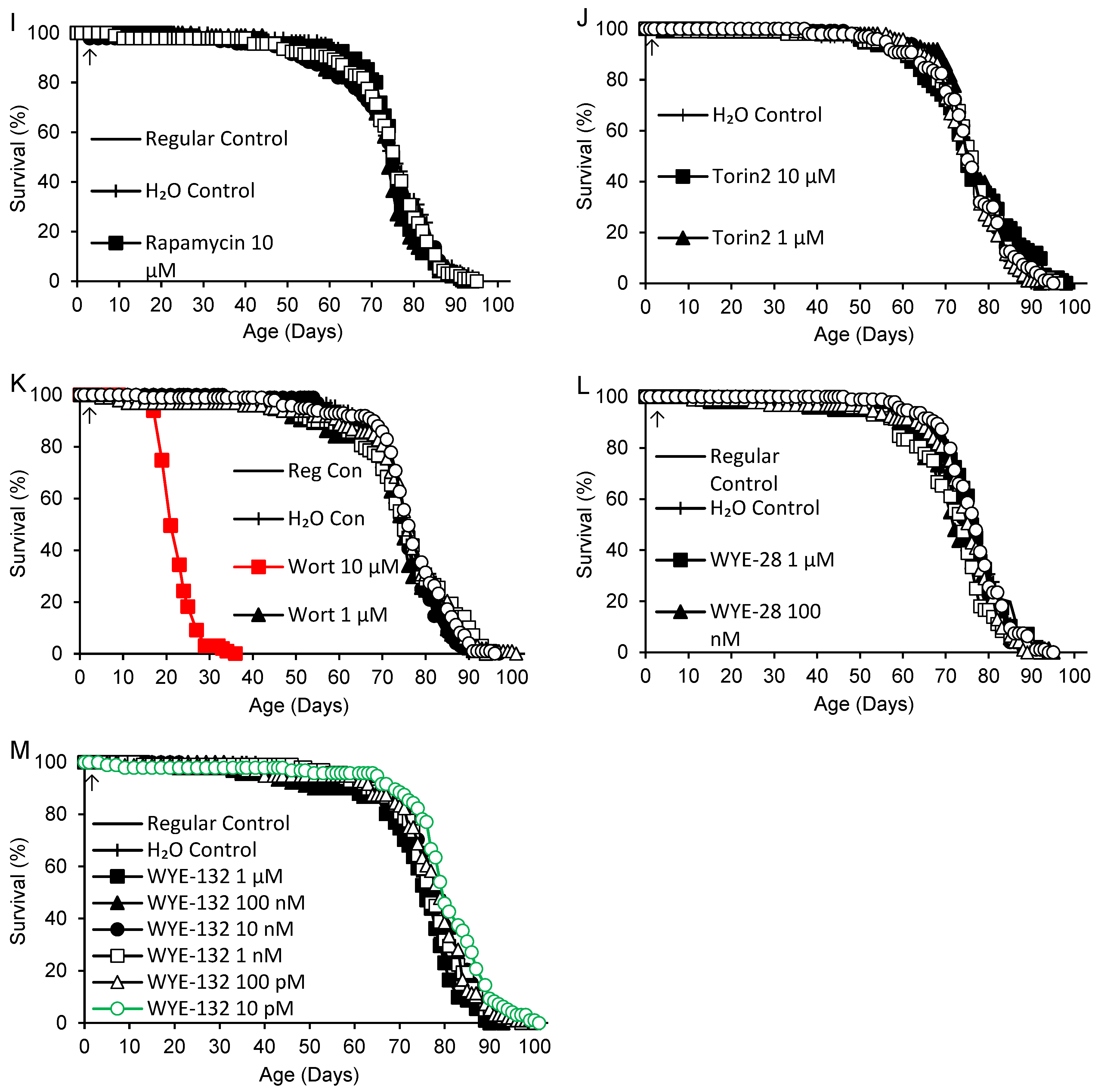 Preprints 116160 g002b