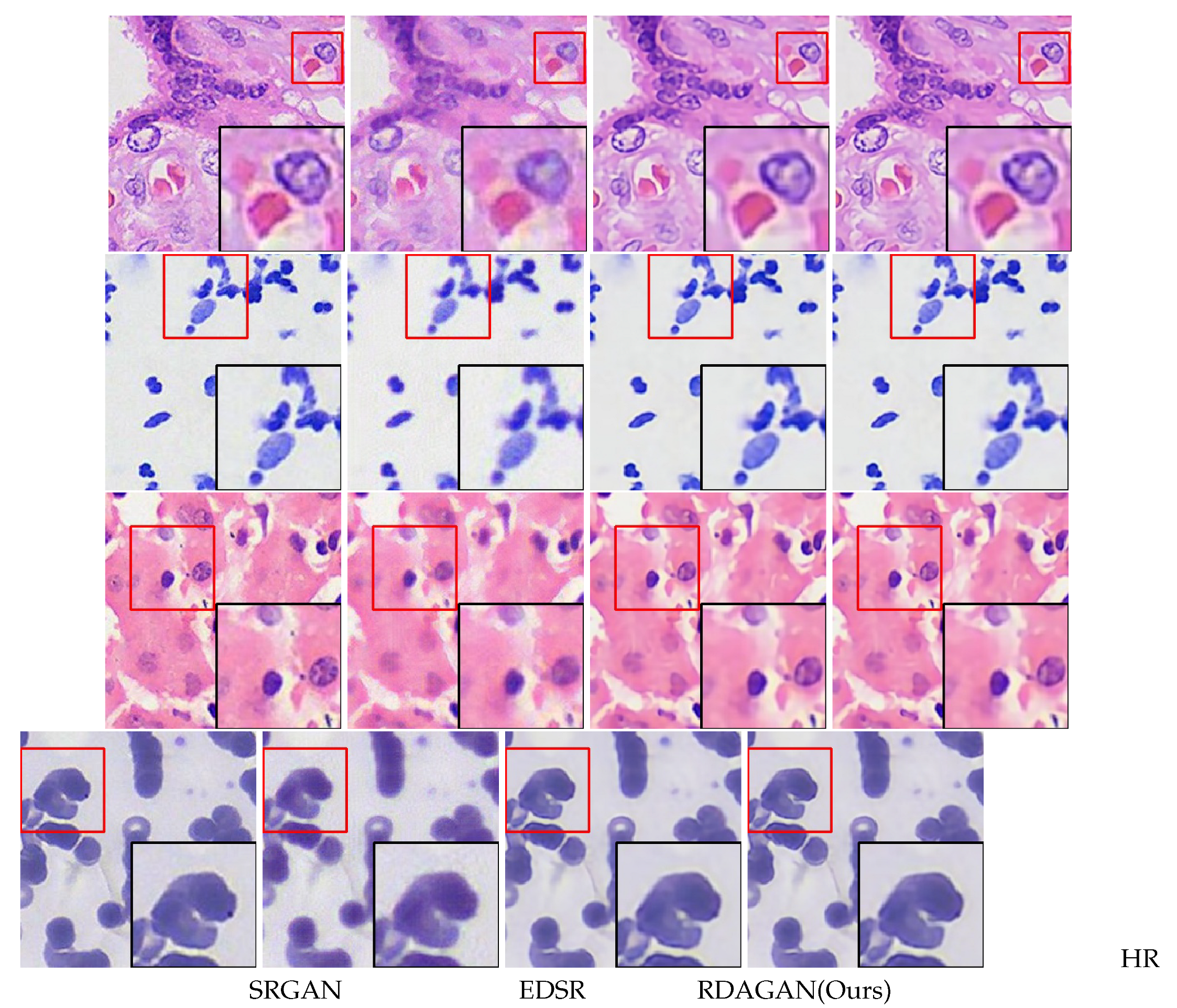 Preprints 105815 g005