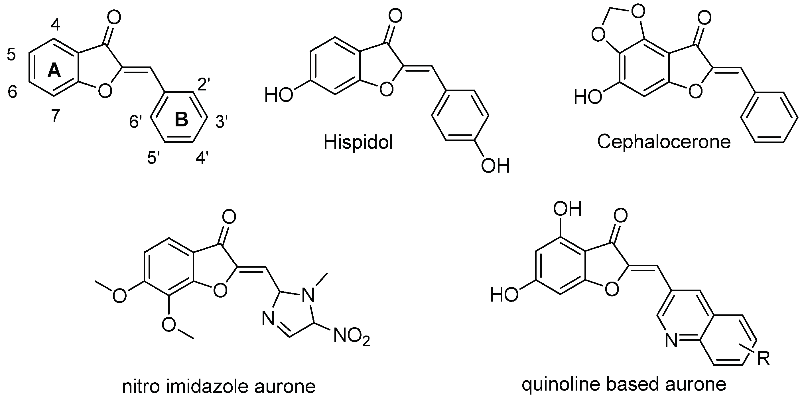 Preprints 99882 g001