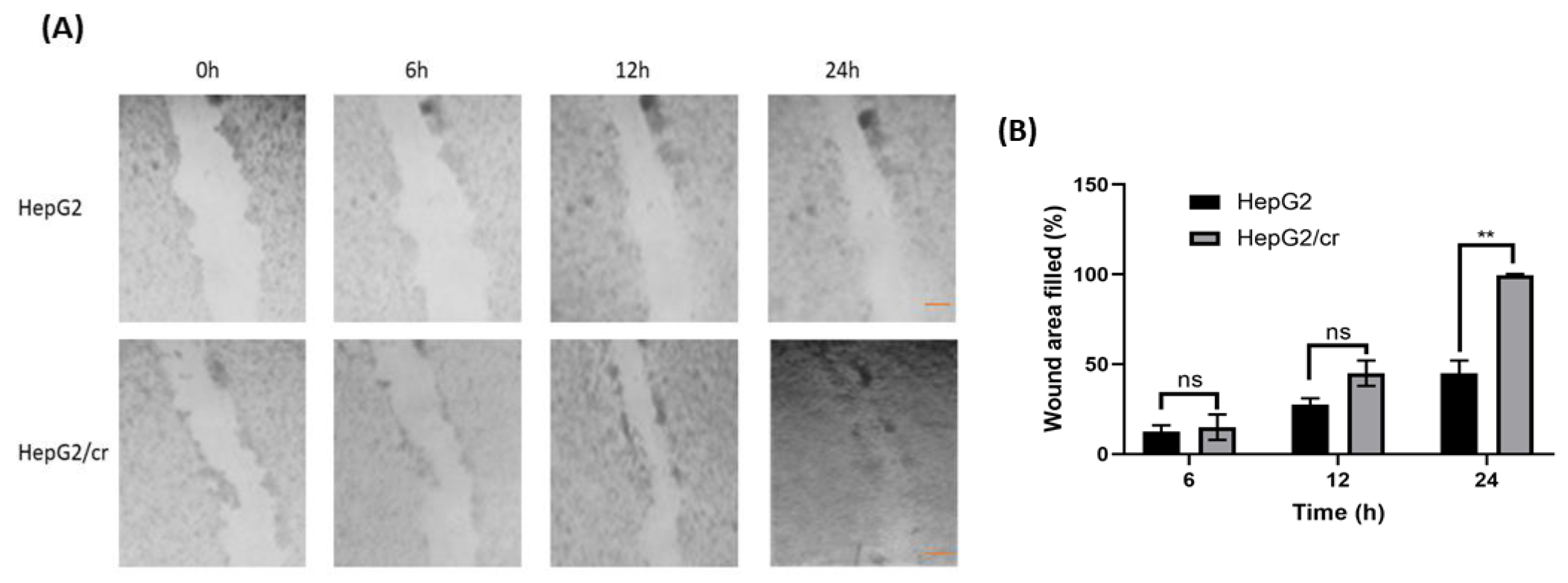 Preprints 68207 g003