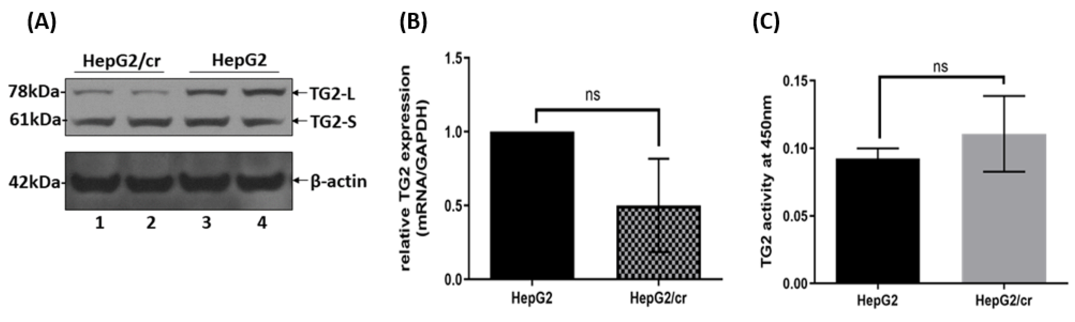 Preprints 68207 g005