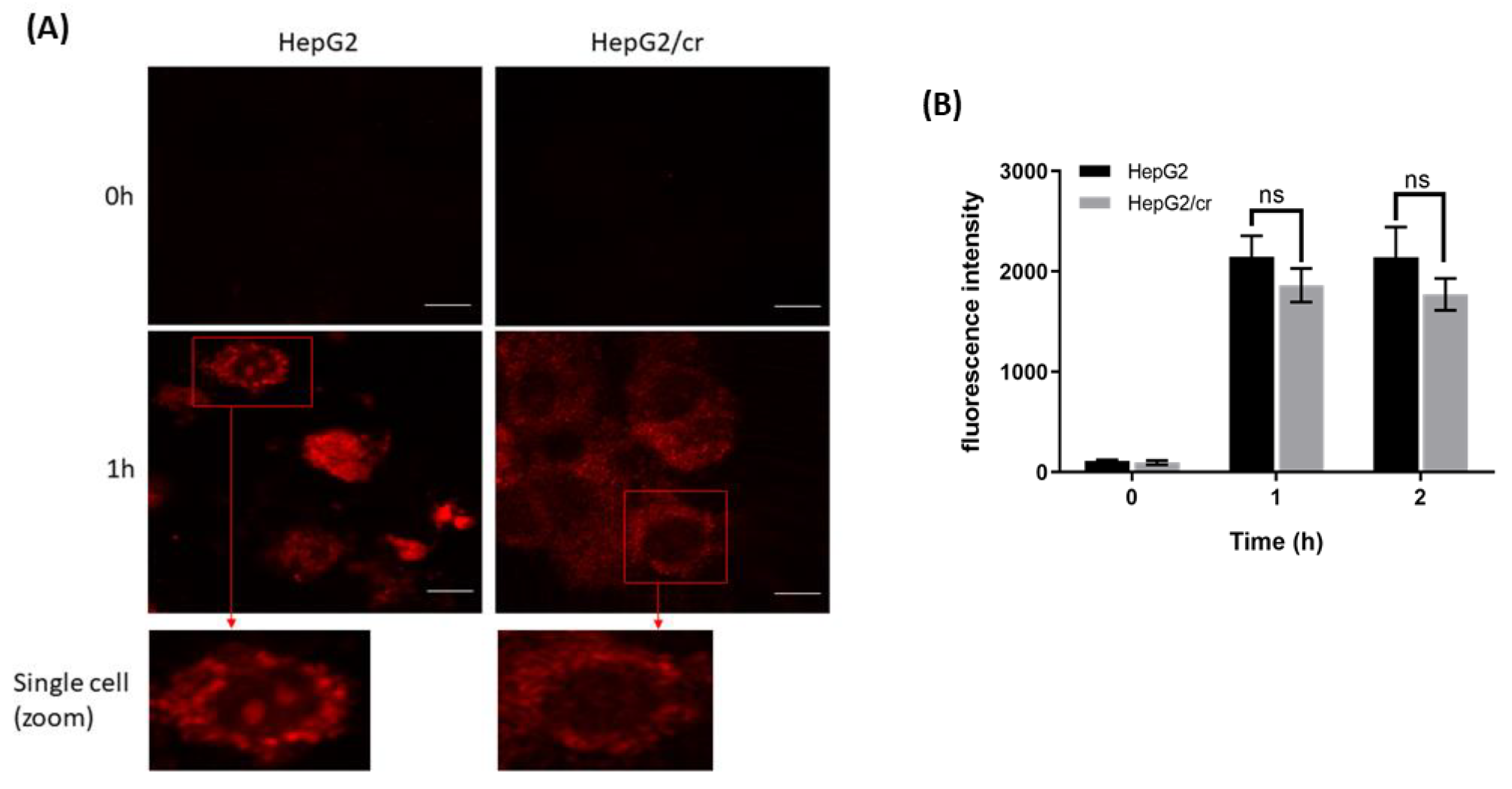 Preprints 68207 g006