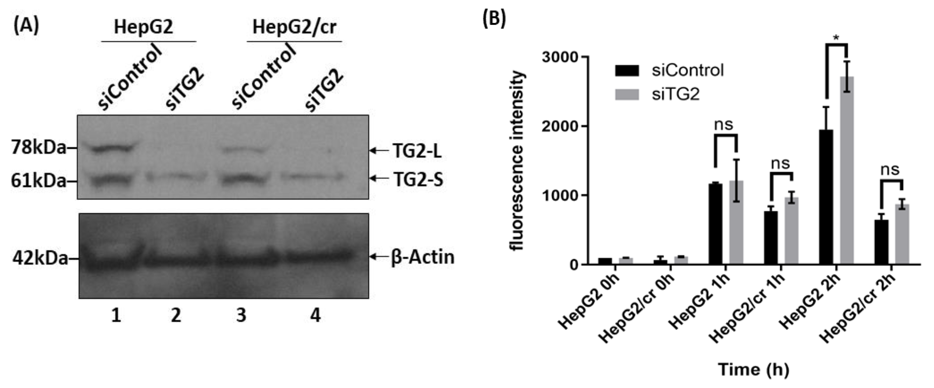 Preprints 68207 g008