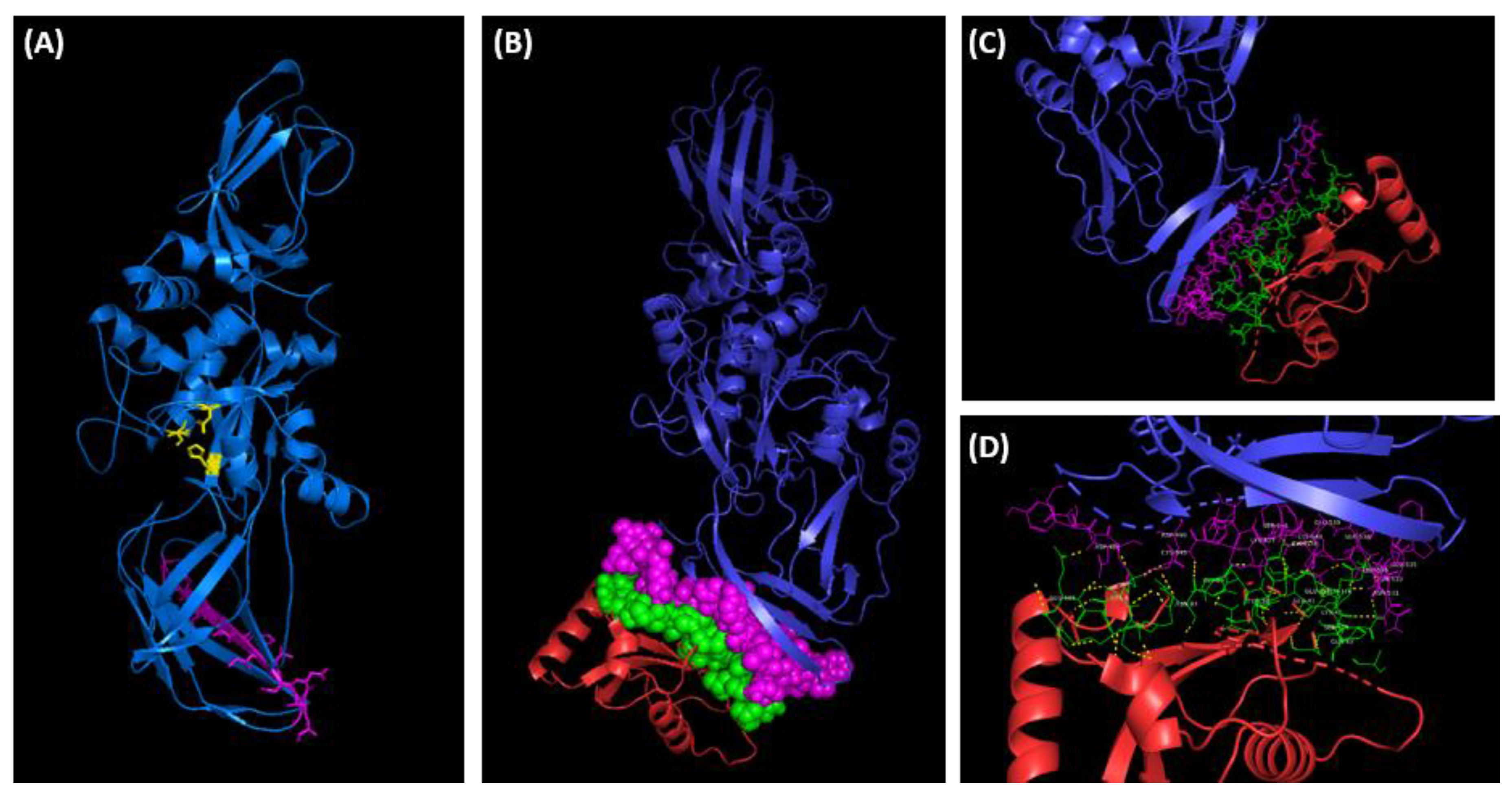 Preprints 68207 g010