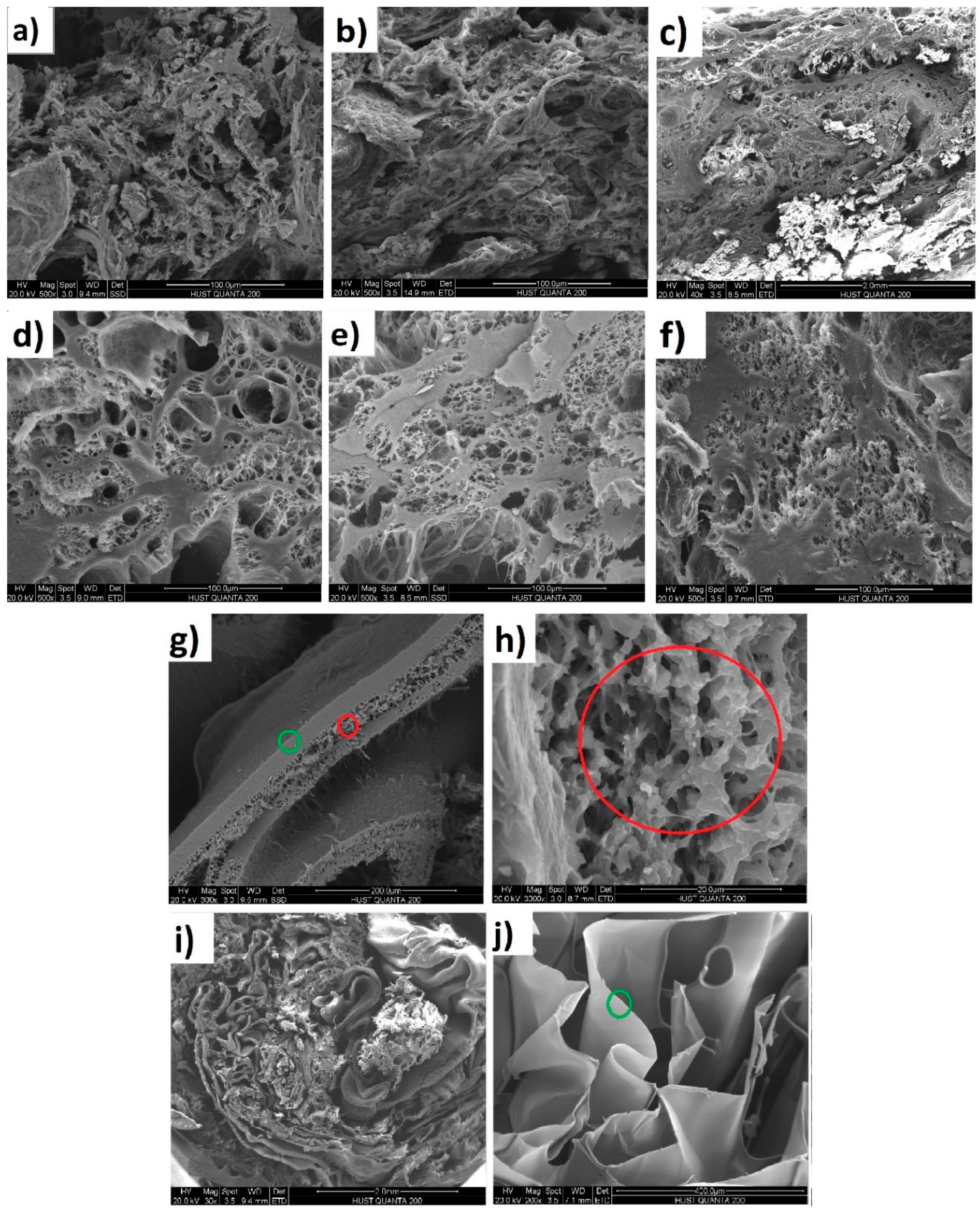 Preprints 112772 g0a9