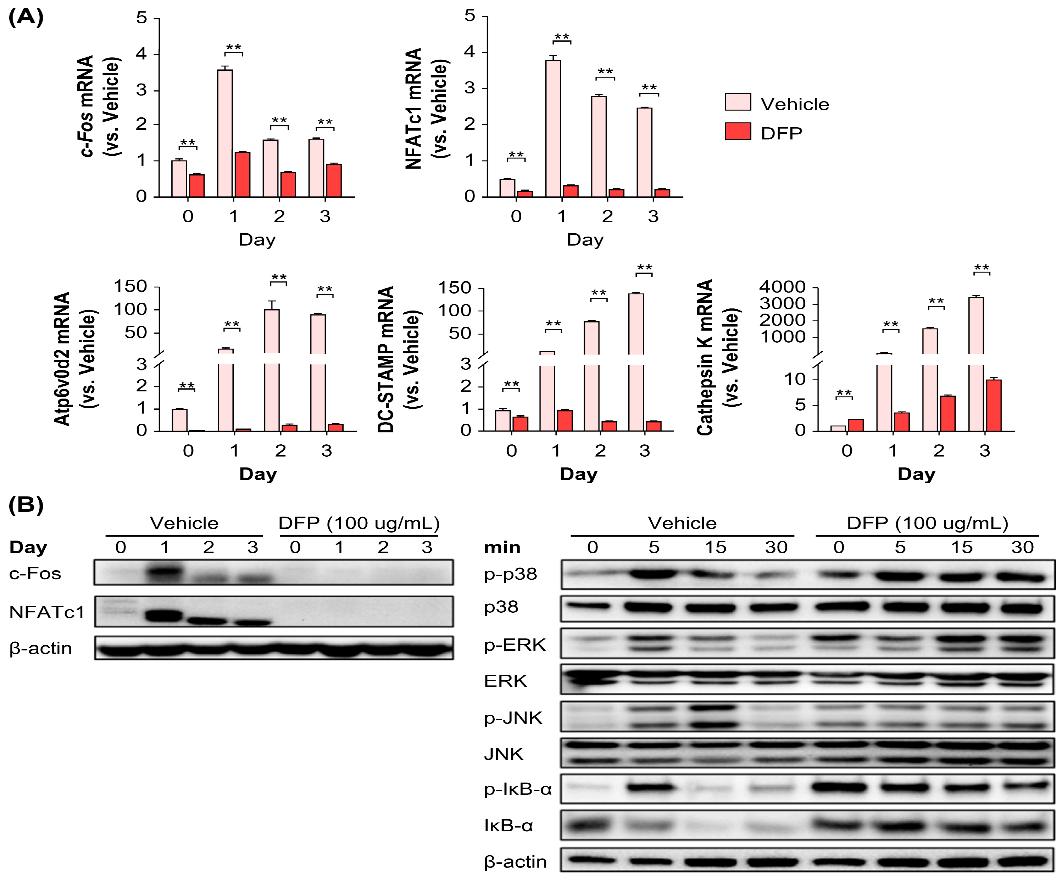 Preprints 88078 g004