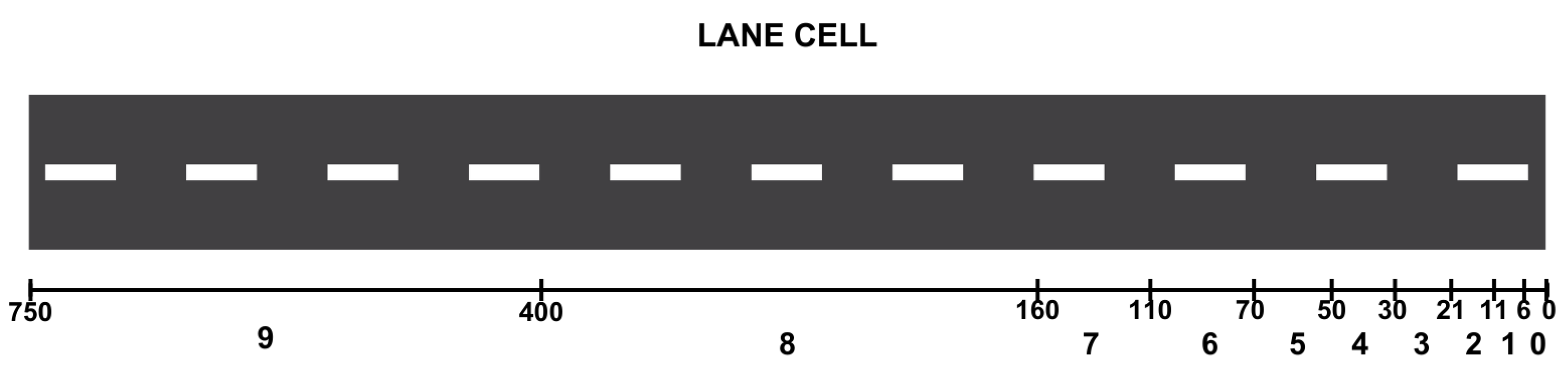 Preprints 115069 g006