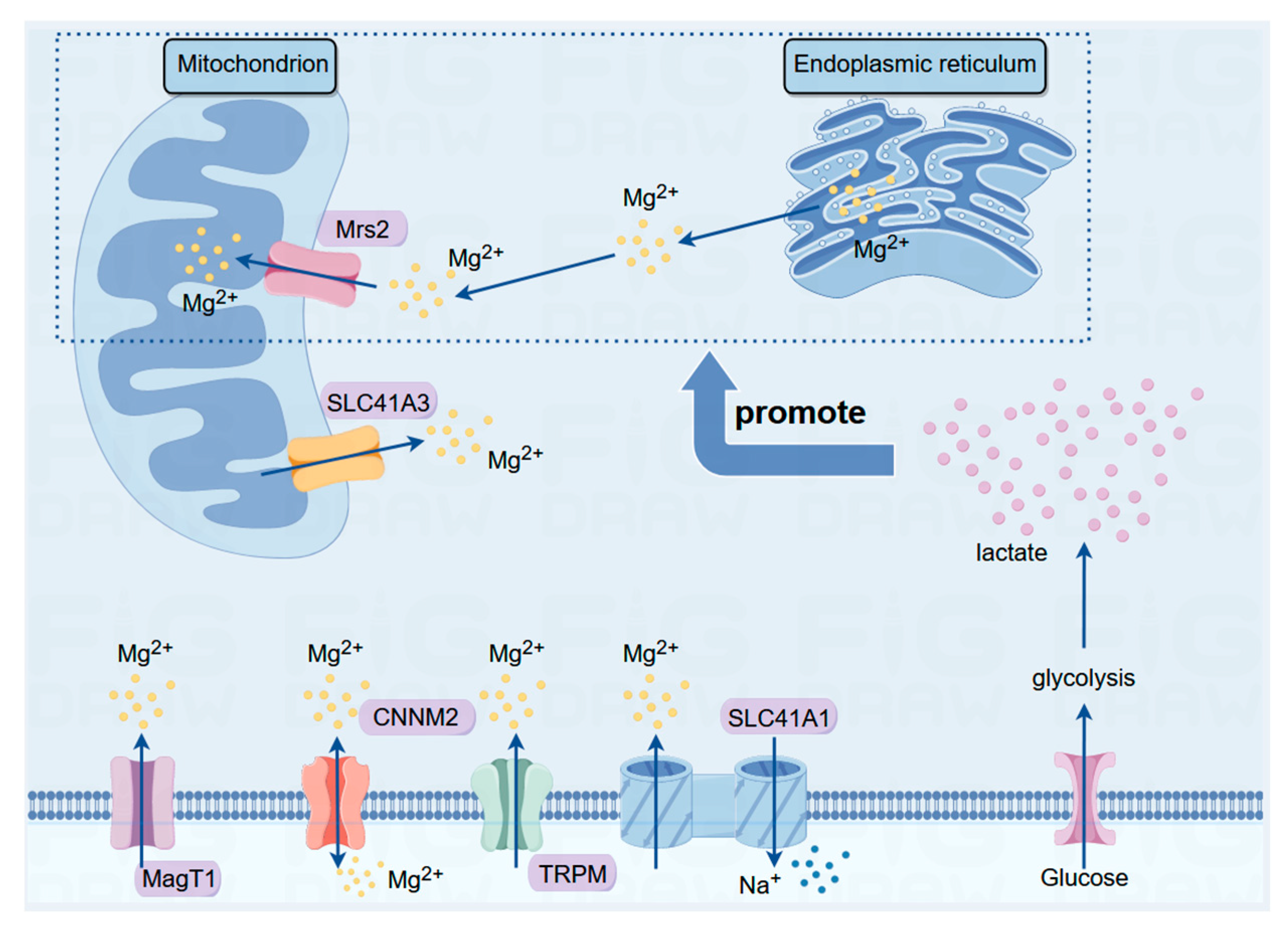 Preprints 105635 g001