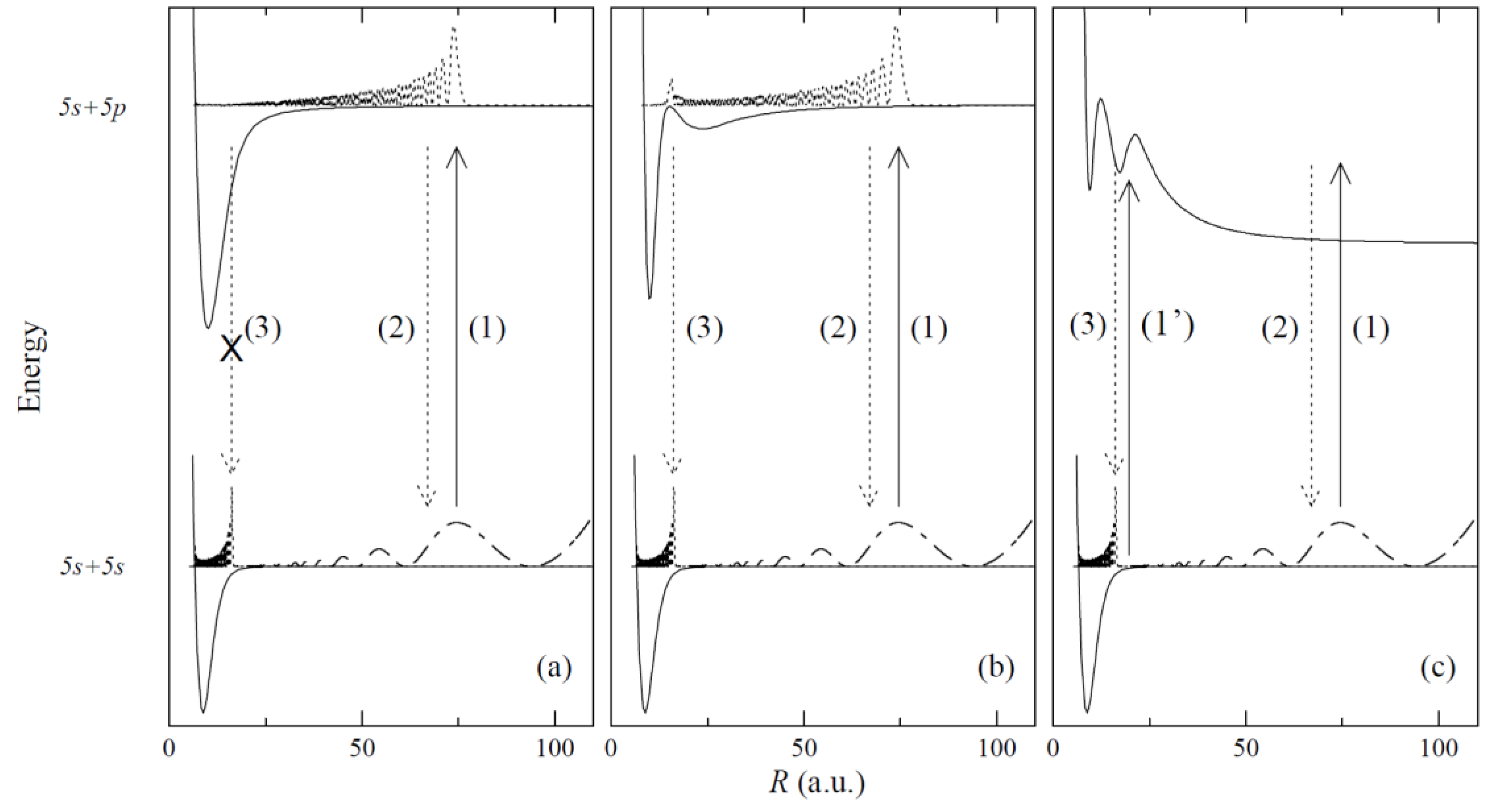 Preprints 117144 g003