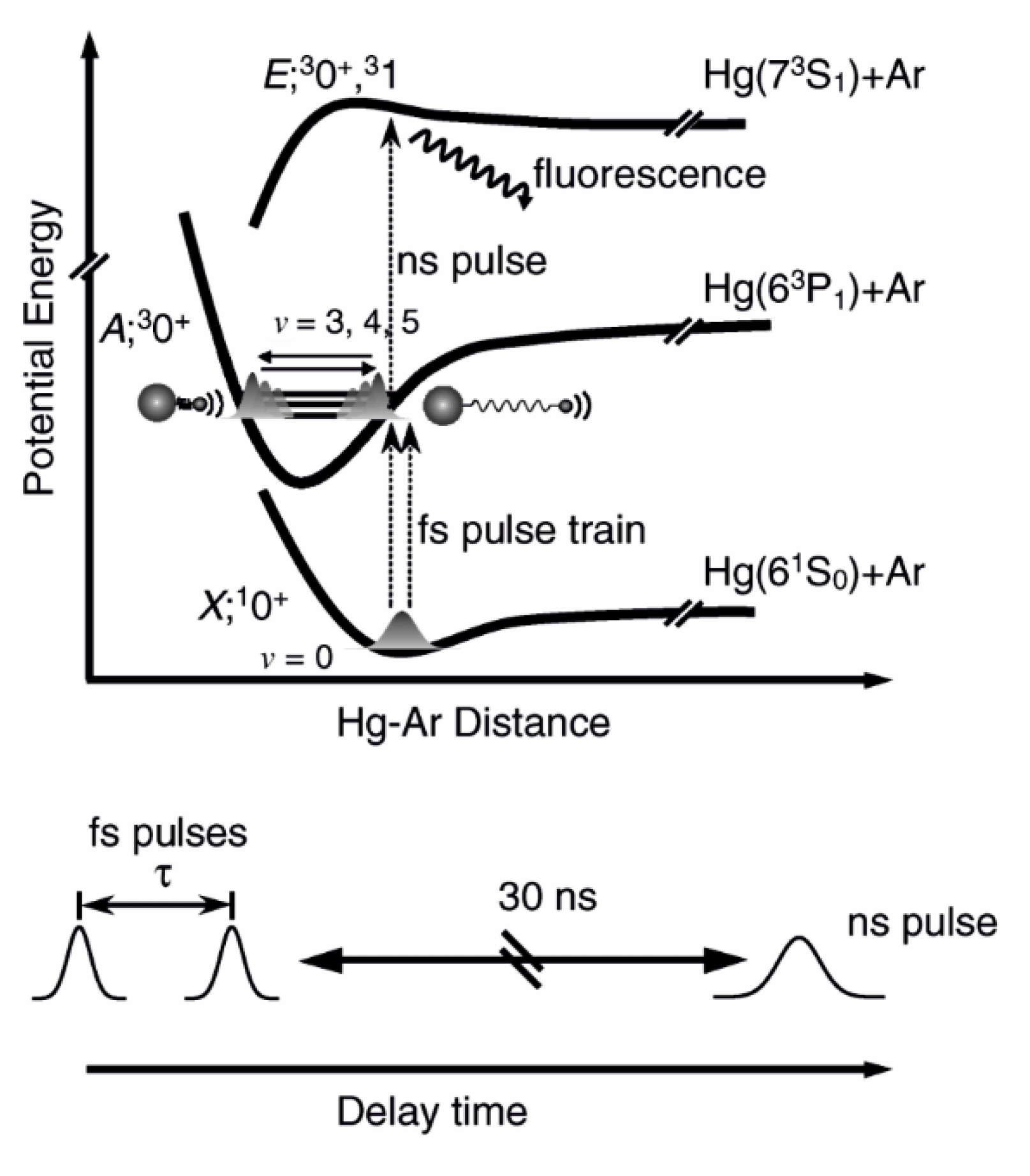 Preprints 117144 g031