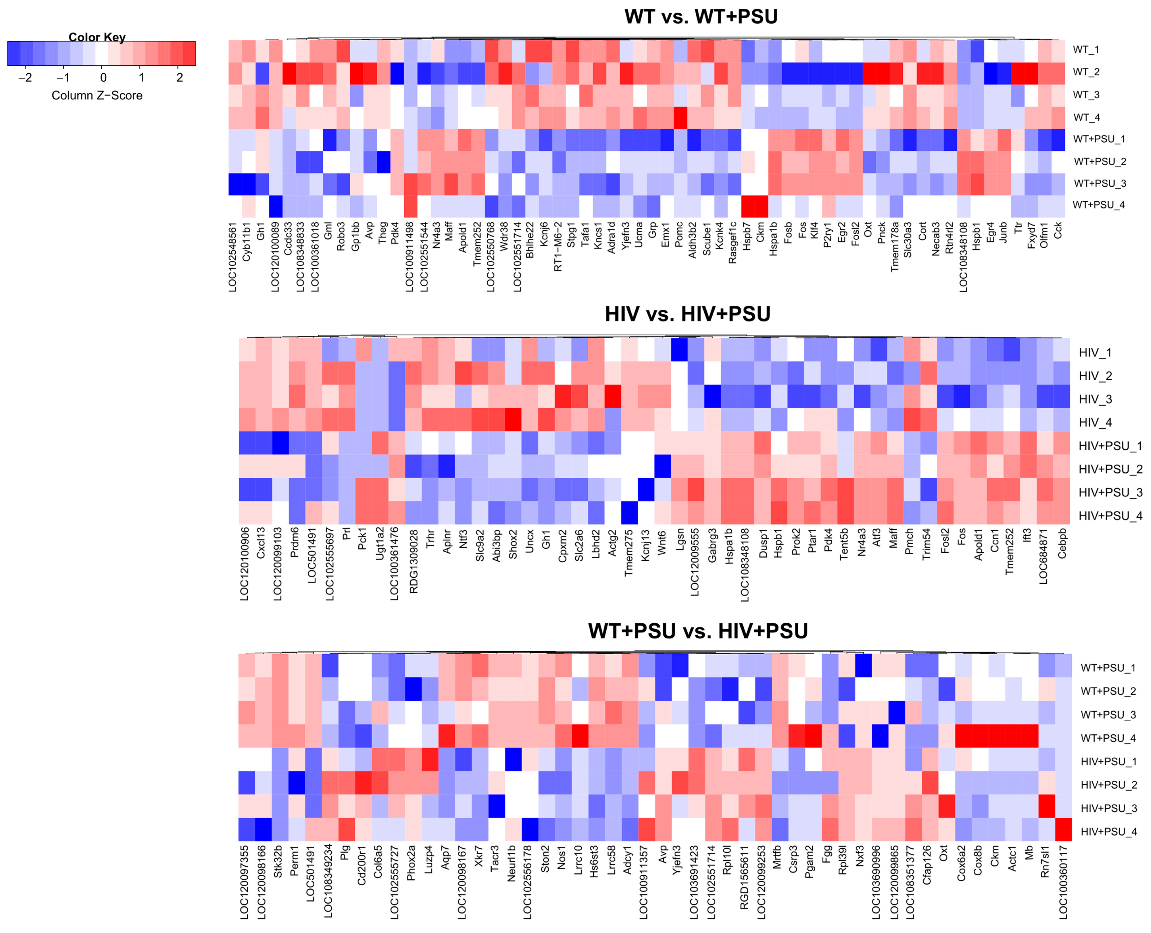 Preprints 78926 g003