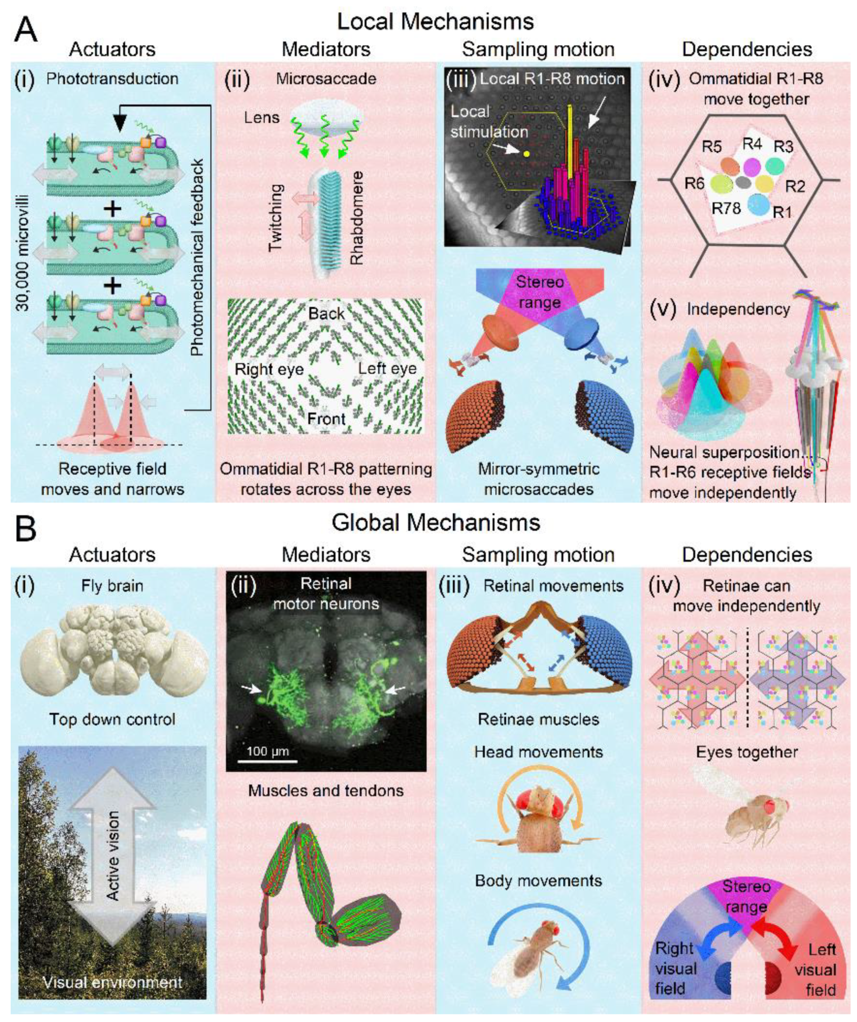 Preprints 117016 g002