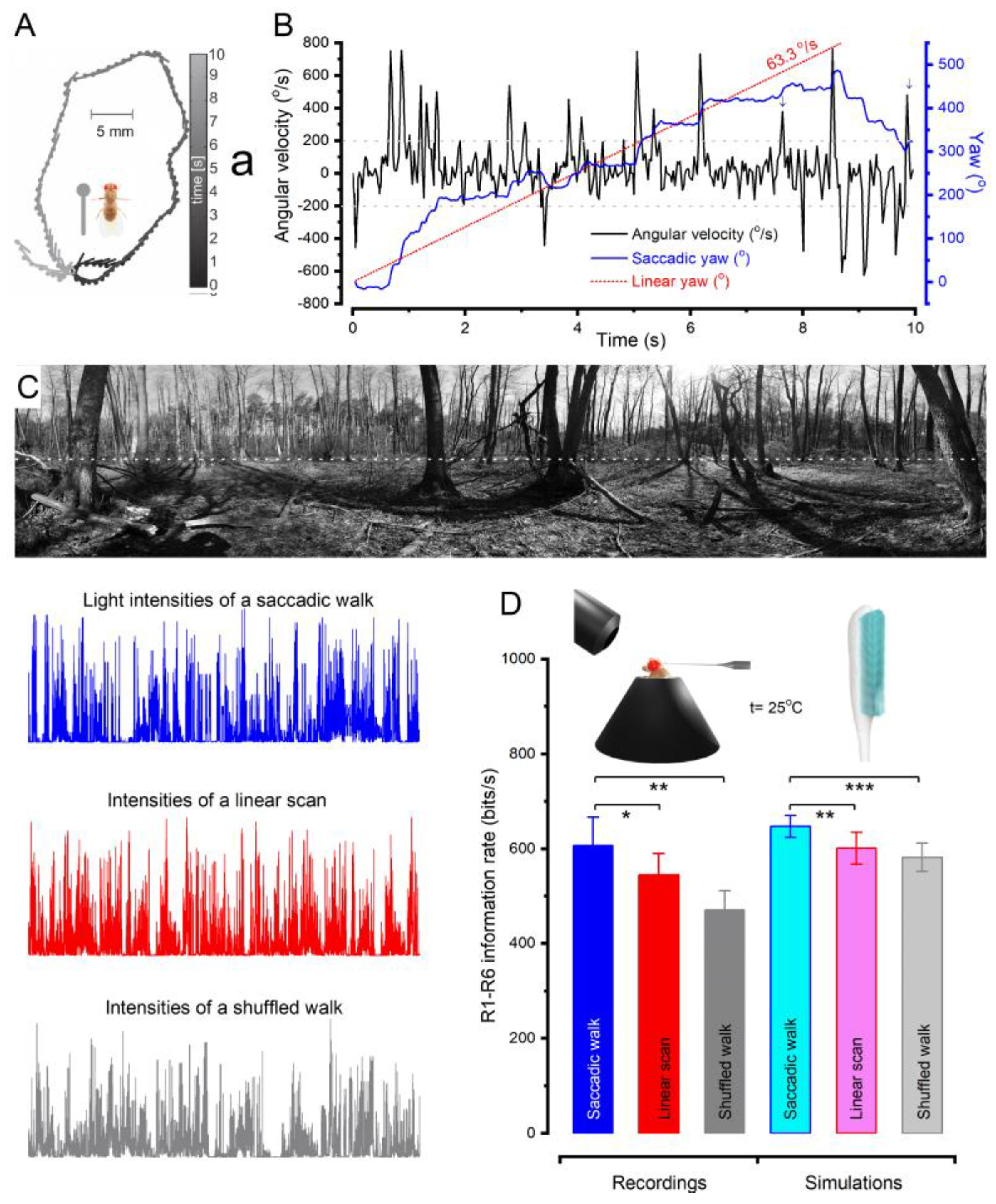 Preprints 117016 g004