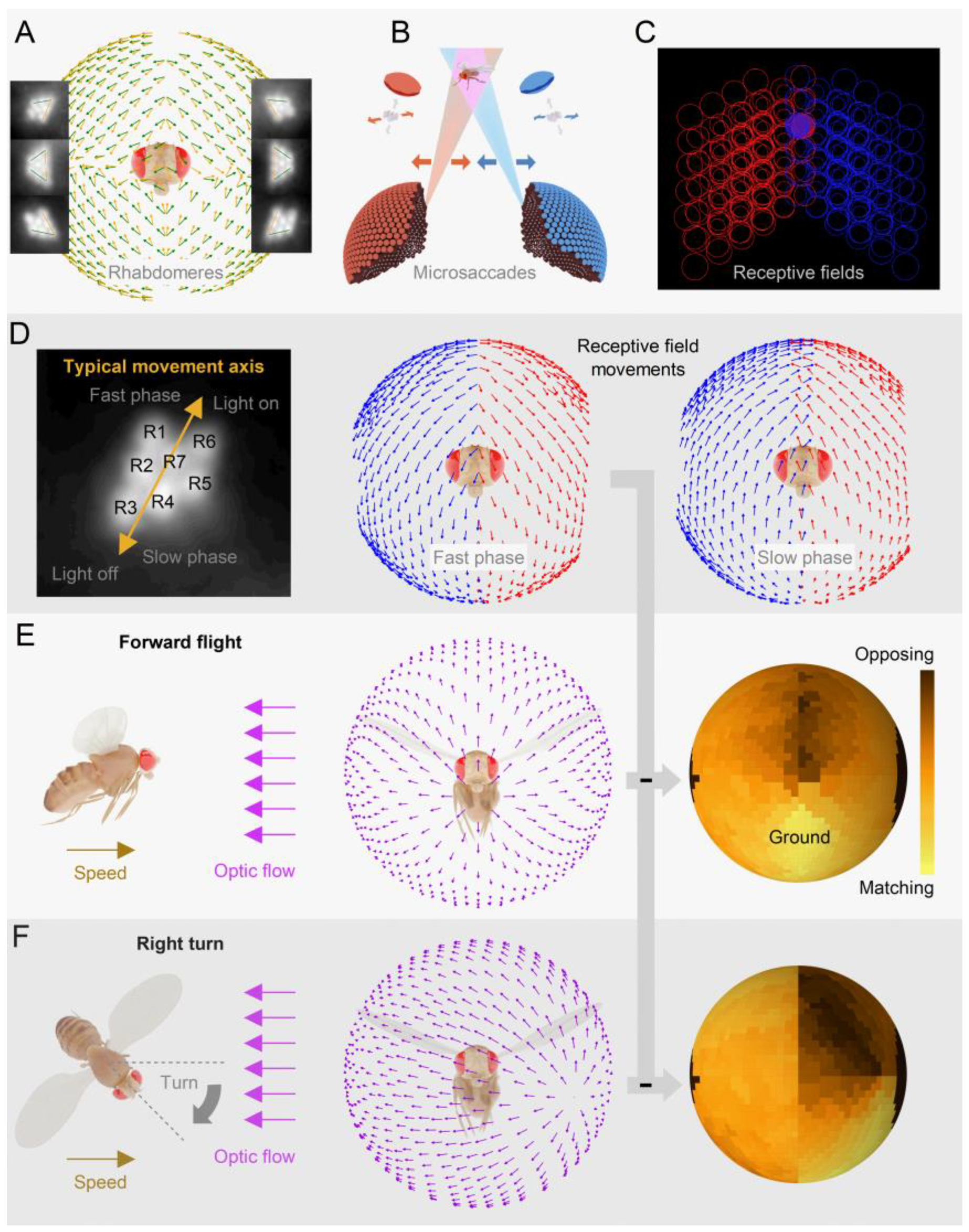 Preprints 117016 g005