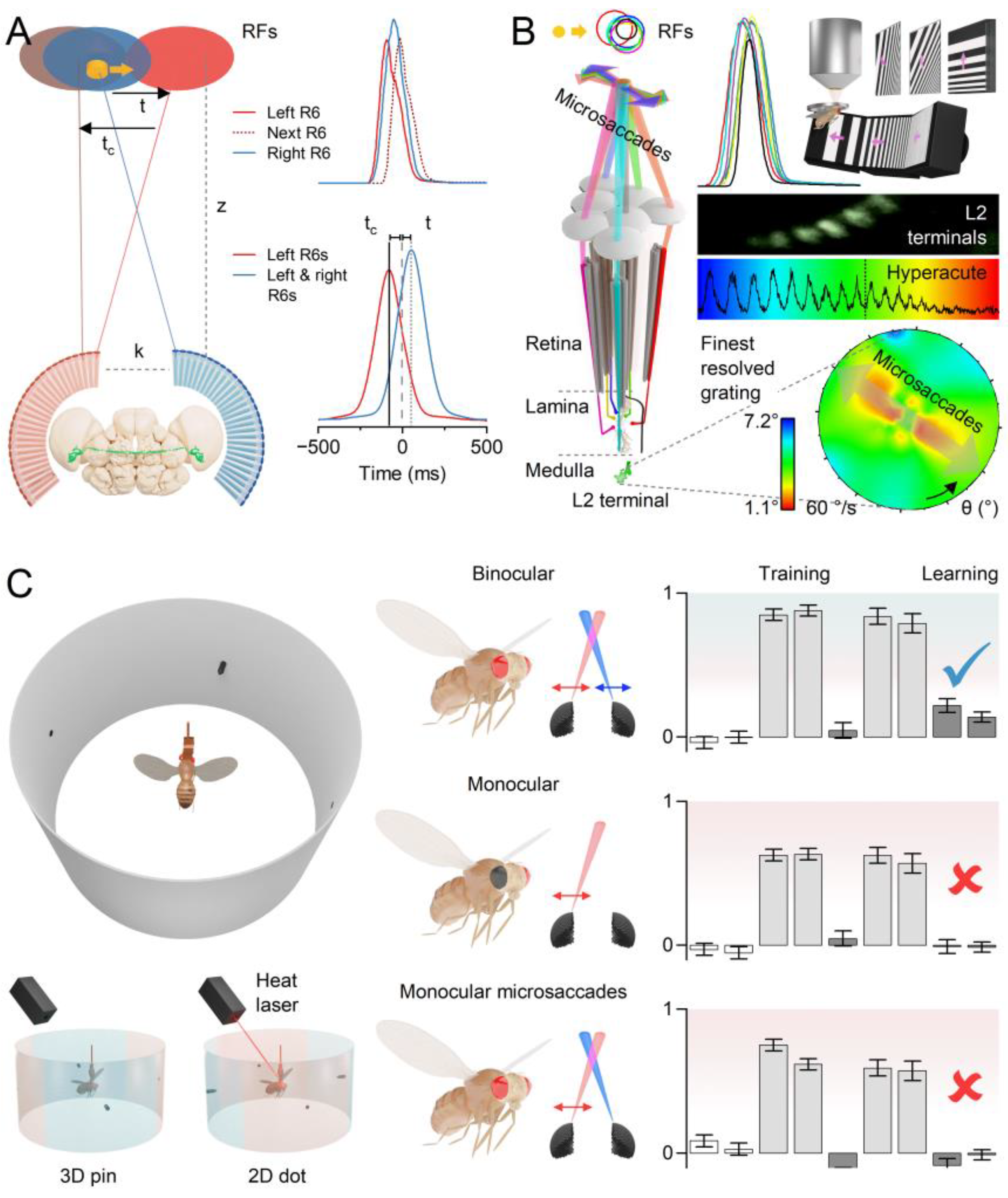 Preprints 117016 g006