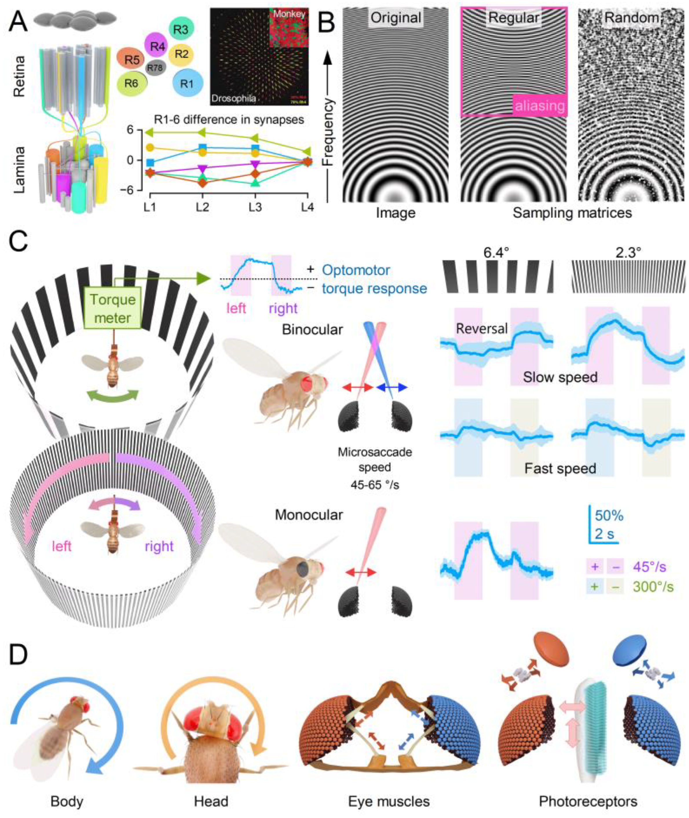 Preprints 117016 g007