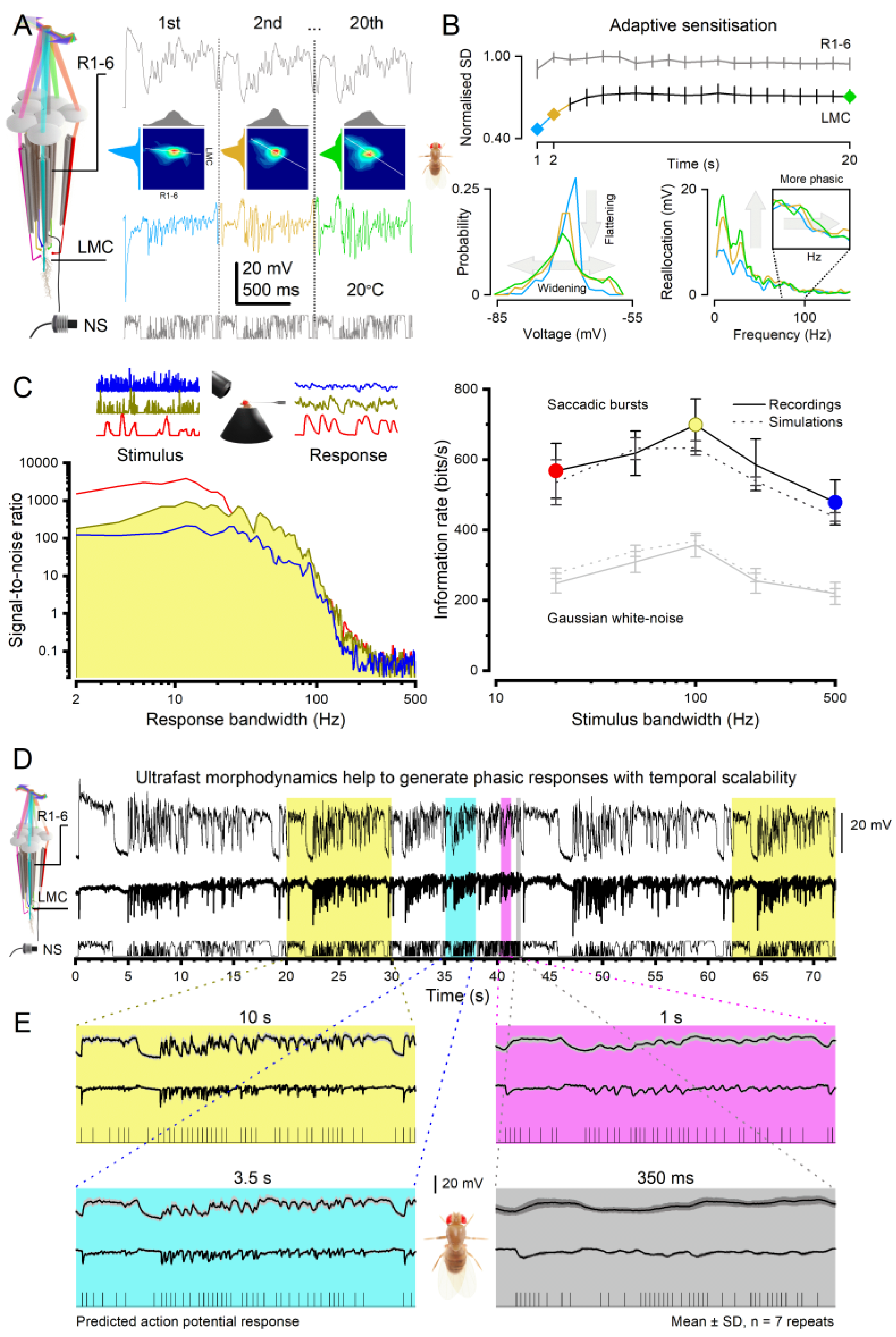 Preprints 117016 g008