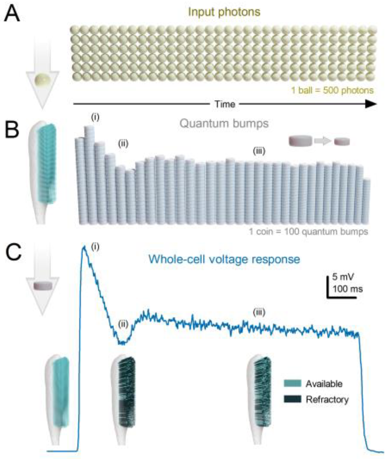 Preprints 117016 g010