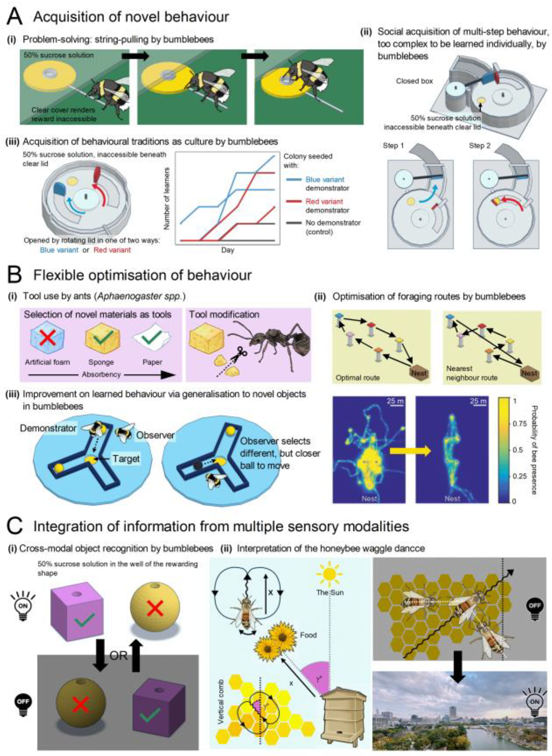 Preprints 117016 g011