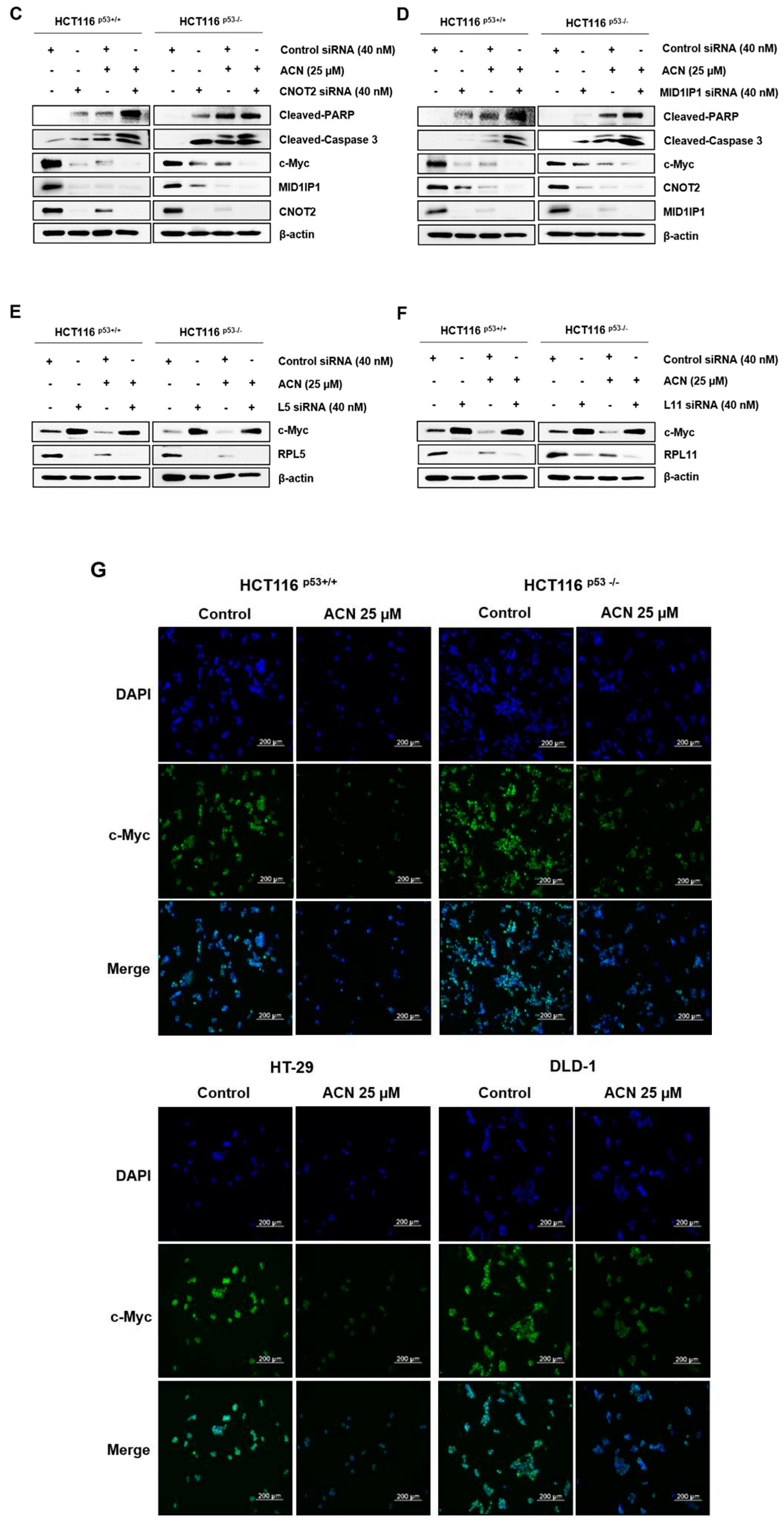 Preprints 90291 g003b