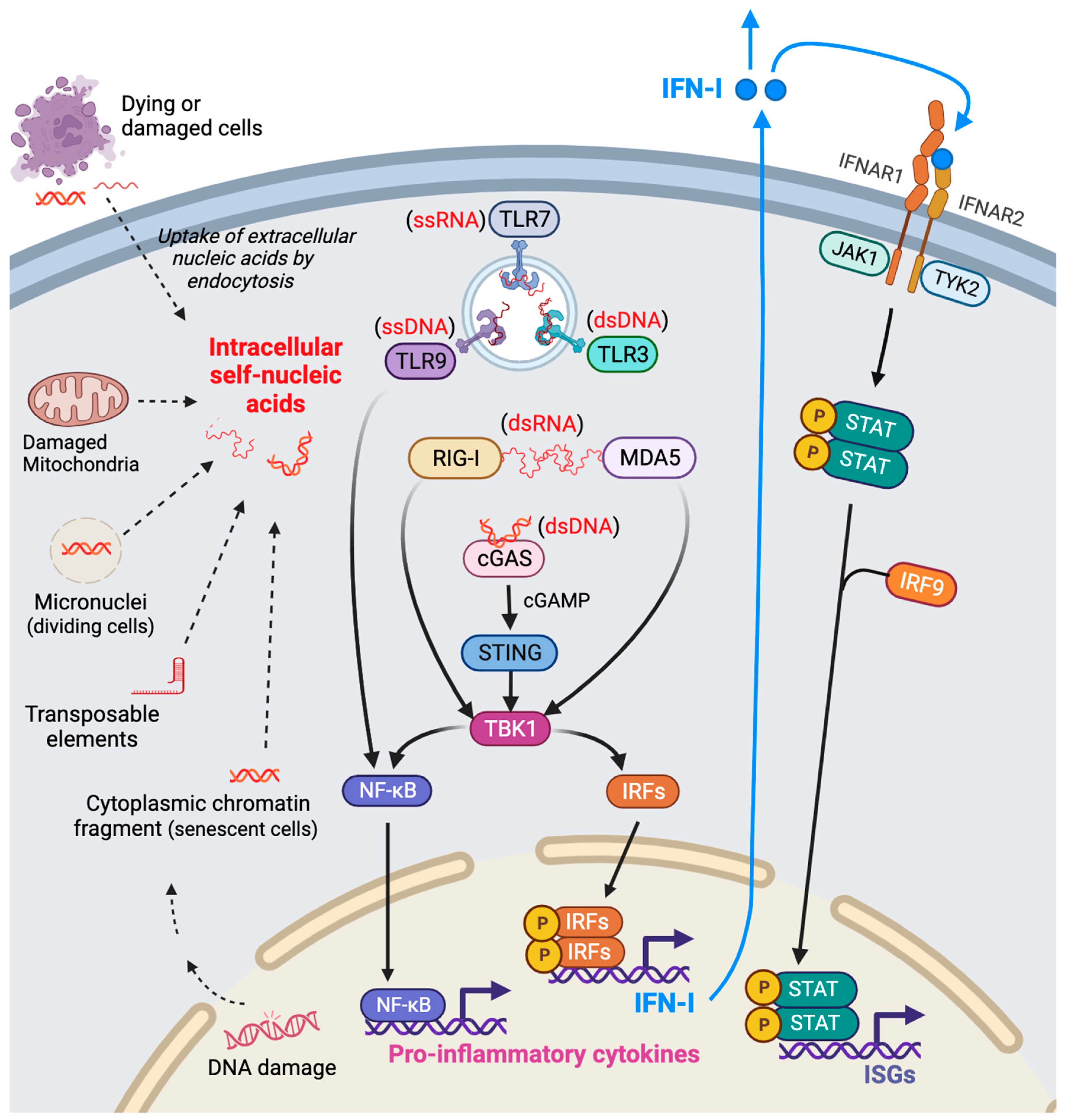 Preprints 95162 g001