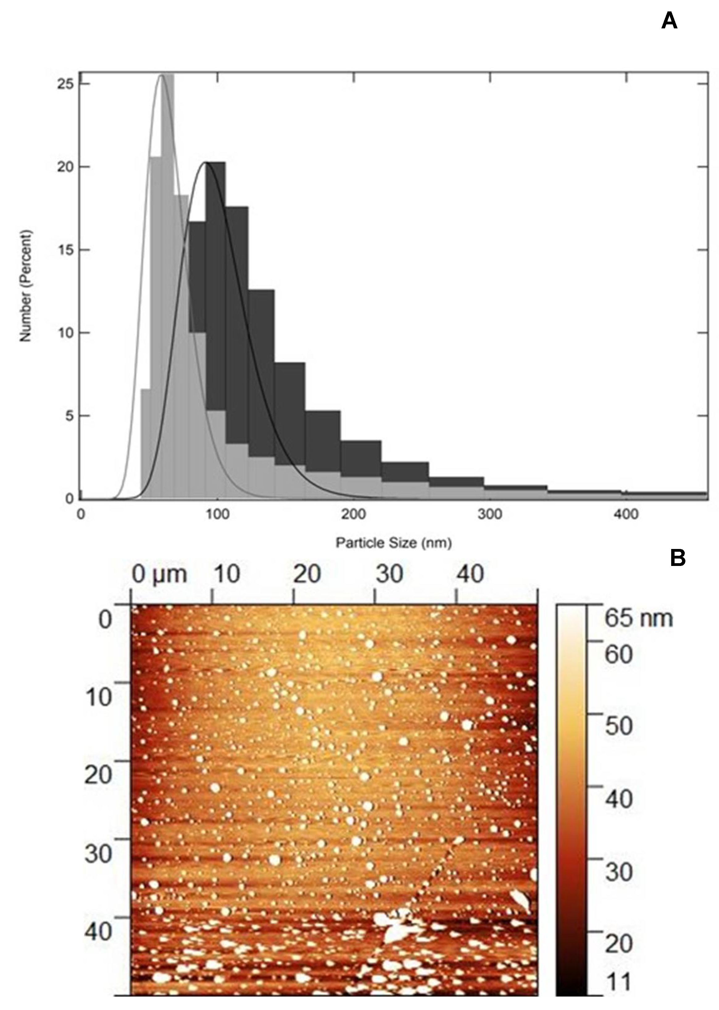 Preprints 107009 g001