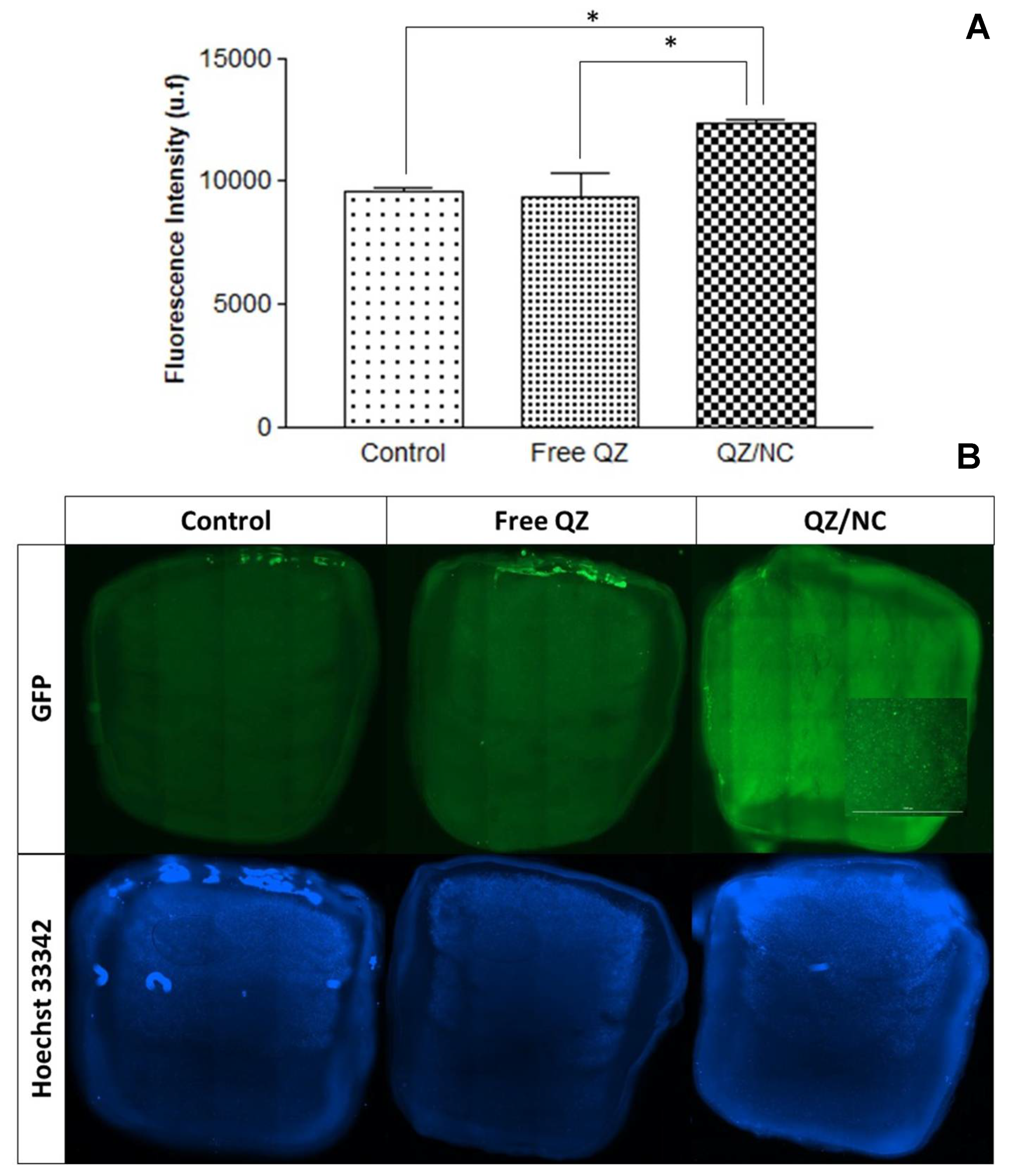 Preprints 107009 g004