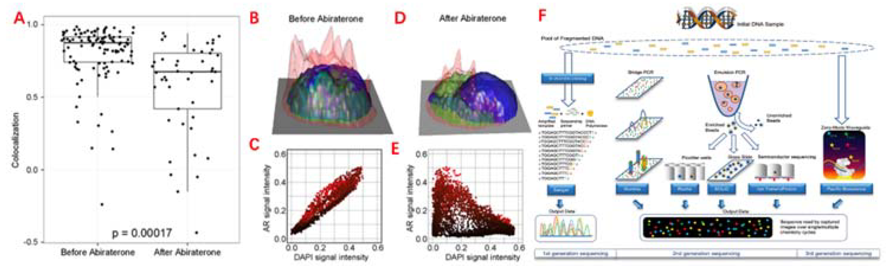 Preprints 81087 g004