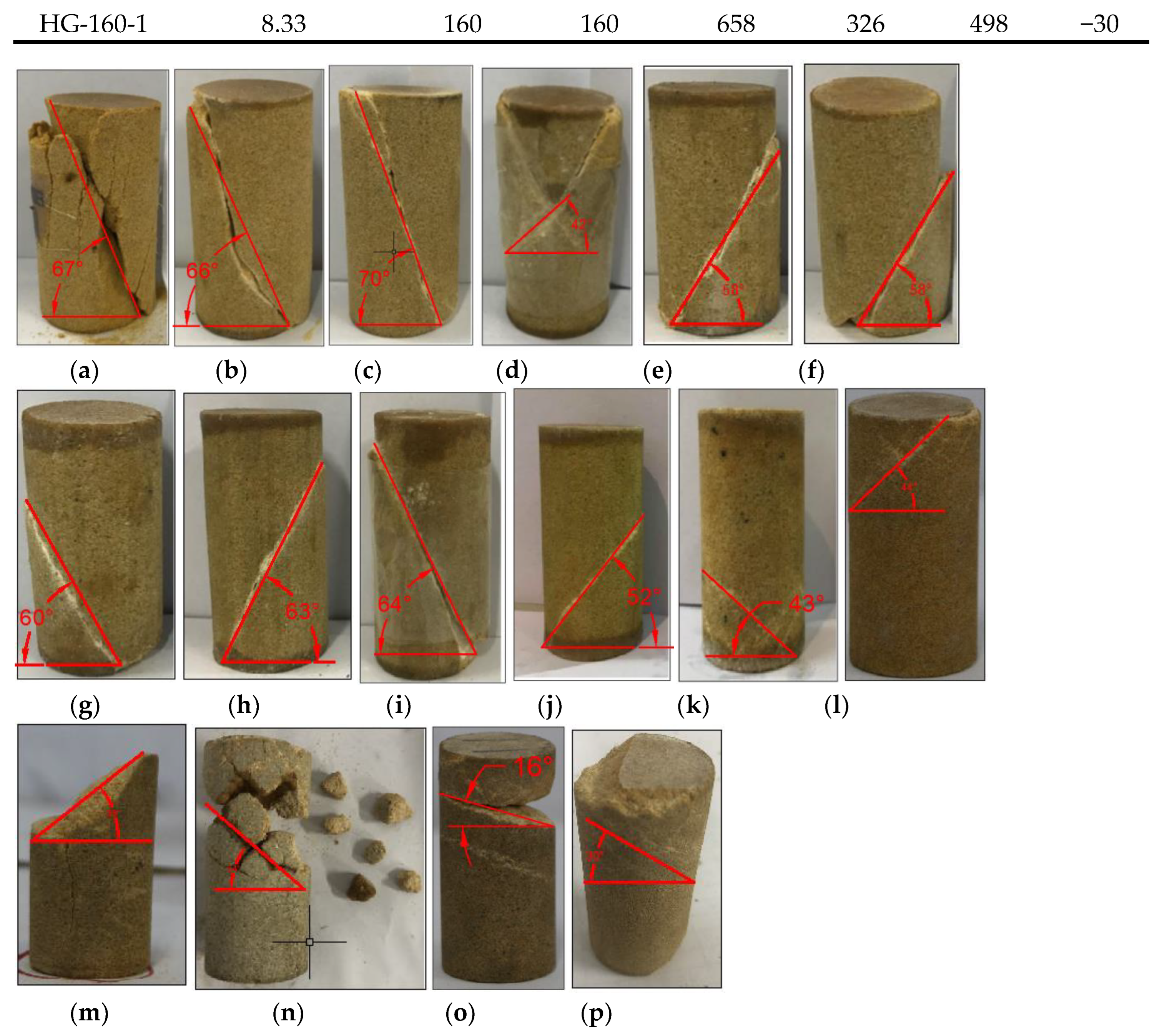 Preprints 114145 g012