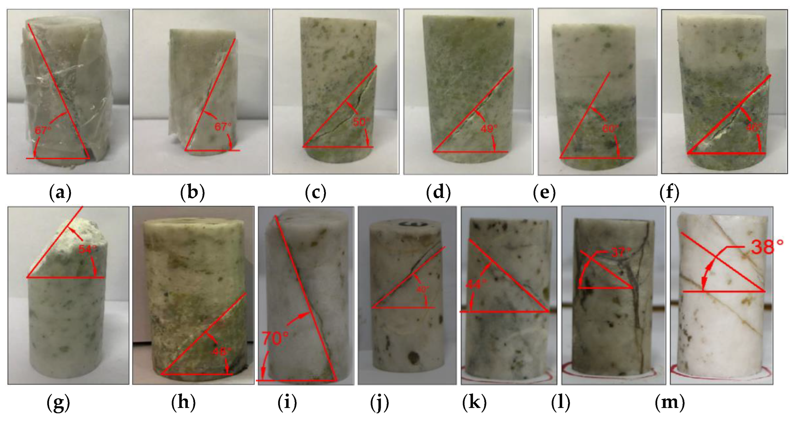 Preprints 114145 g013