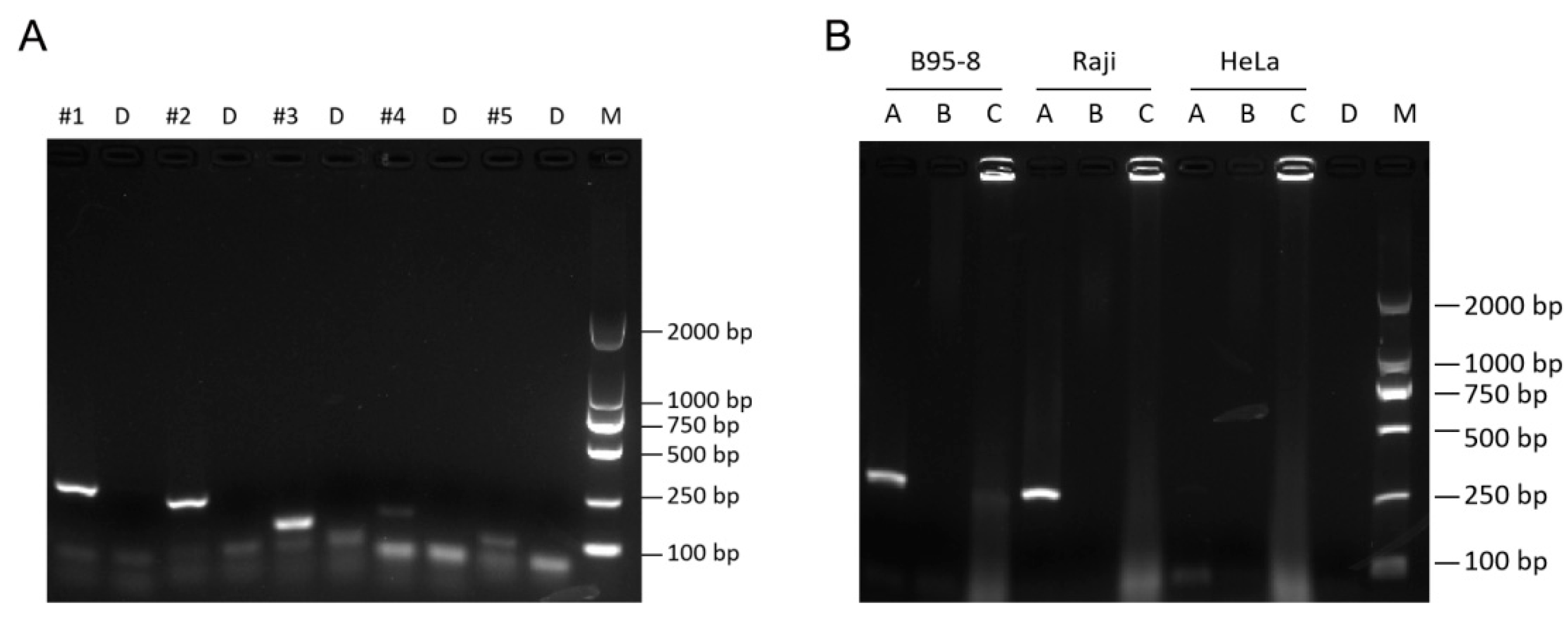 Preprints 92899 g001