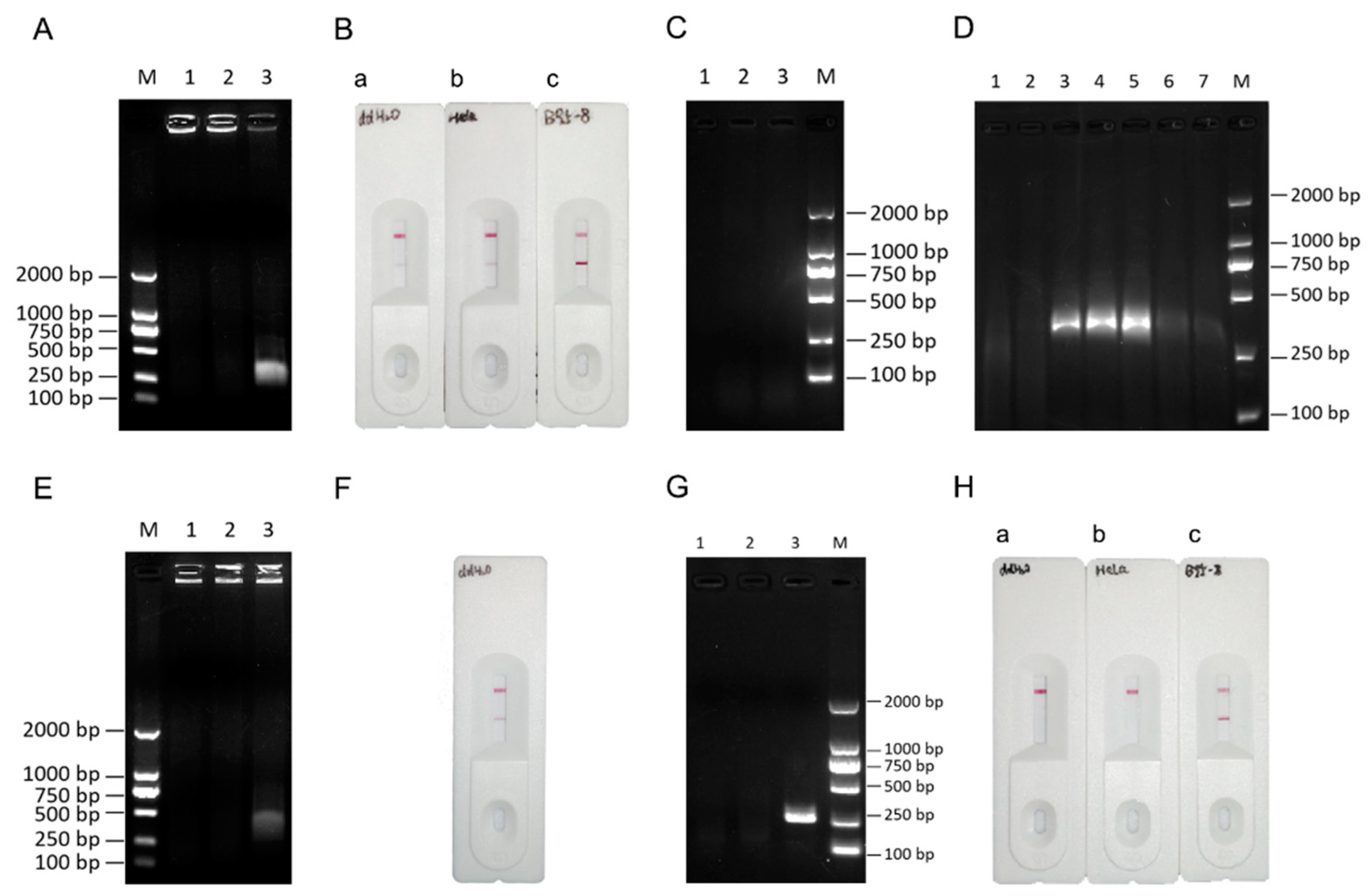 Preprints 92899 g002