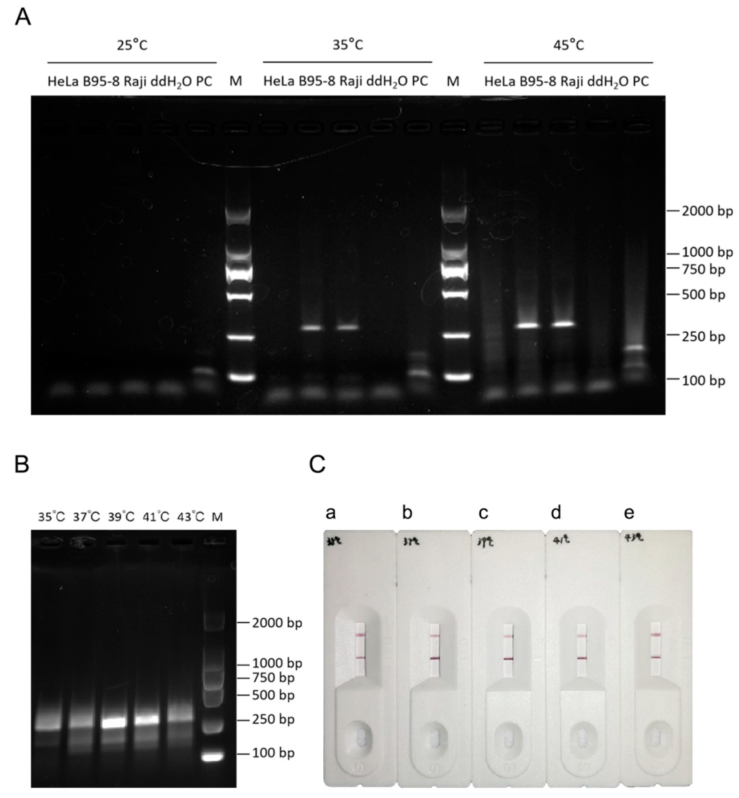 Preprints 92899 g003